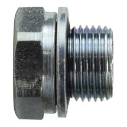 1/8 HEX HD PLUG BSPP