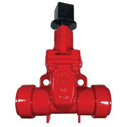 RT x RT Gate Valve