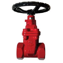 IPS x IPS Gate Valve