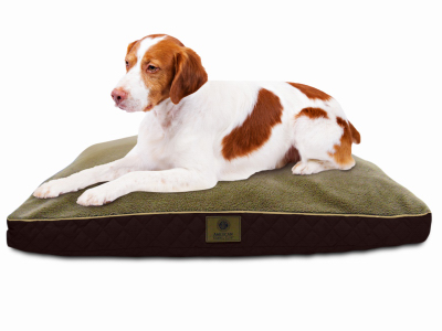 American kennel club bed best sale