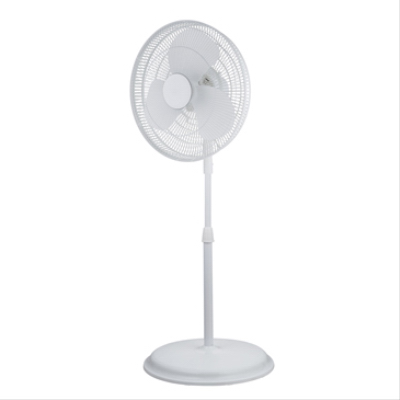 Homepointe FS40-19MW