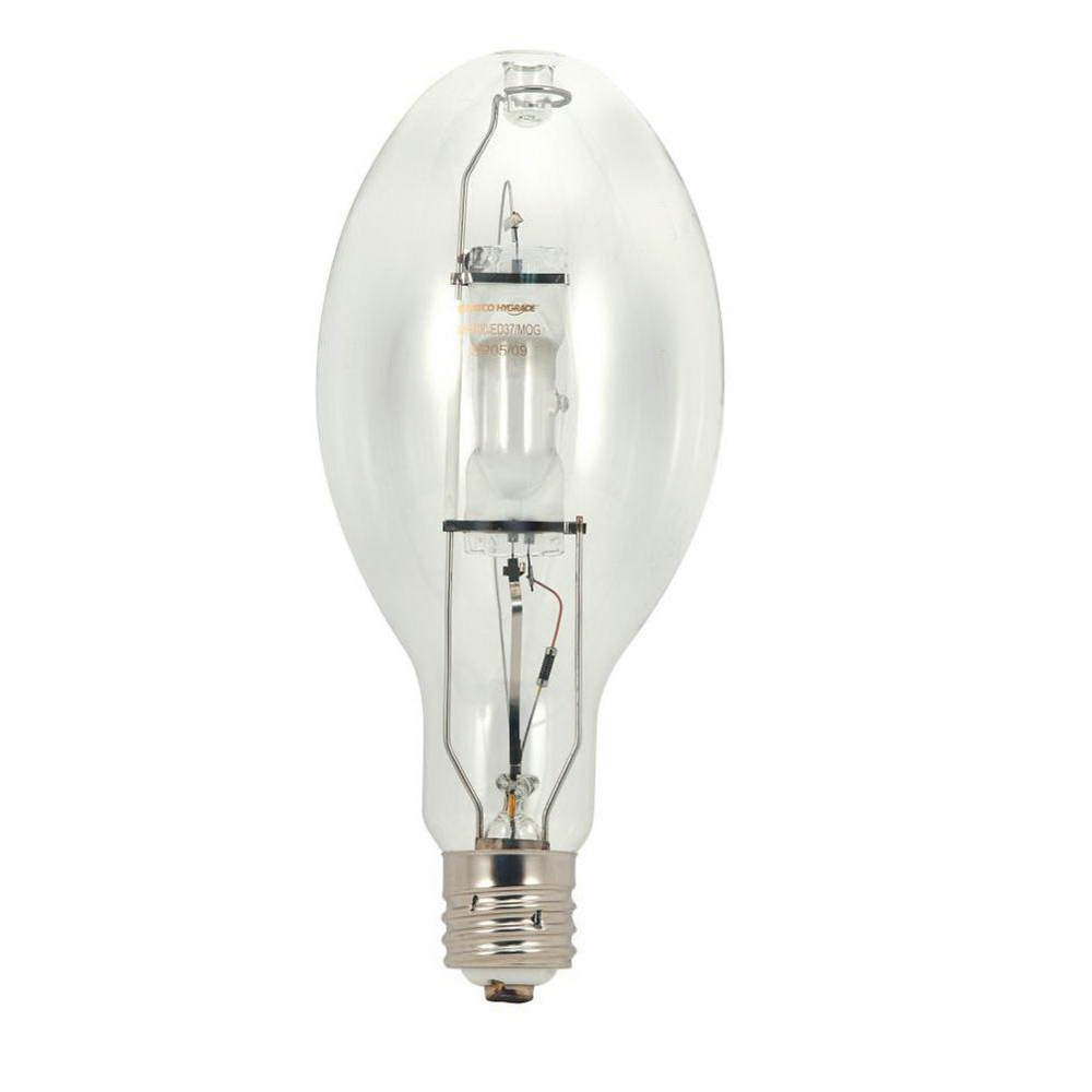 HID Light Bulbs