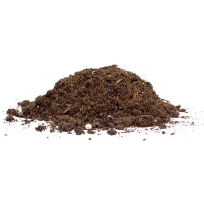 Lawn & Plant Care