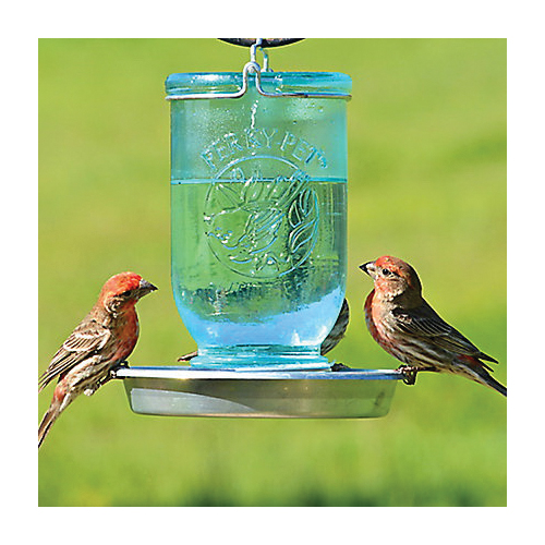 Wild Bird Feeders
