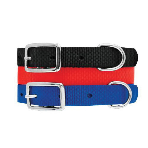 Dog Collars