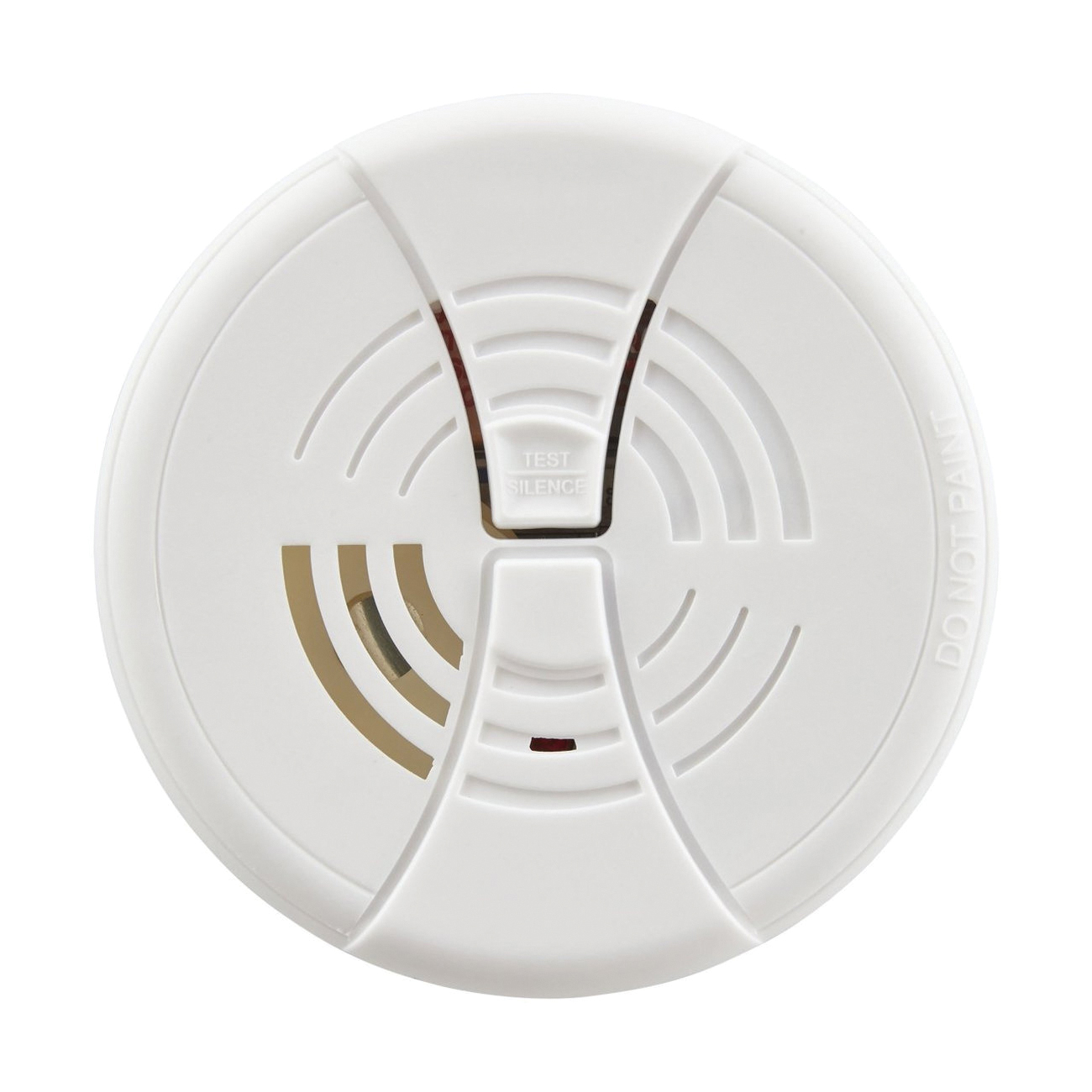 BRK&reg; FG250B
