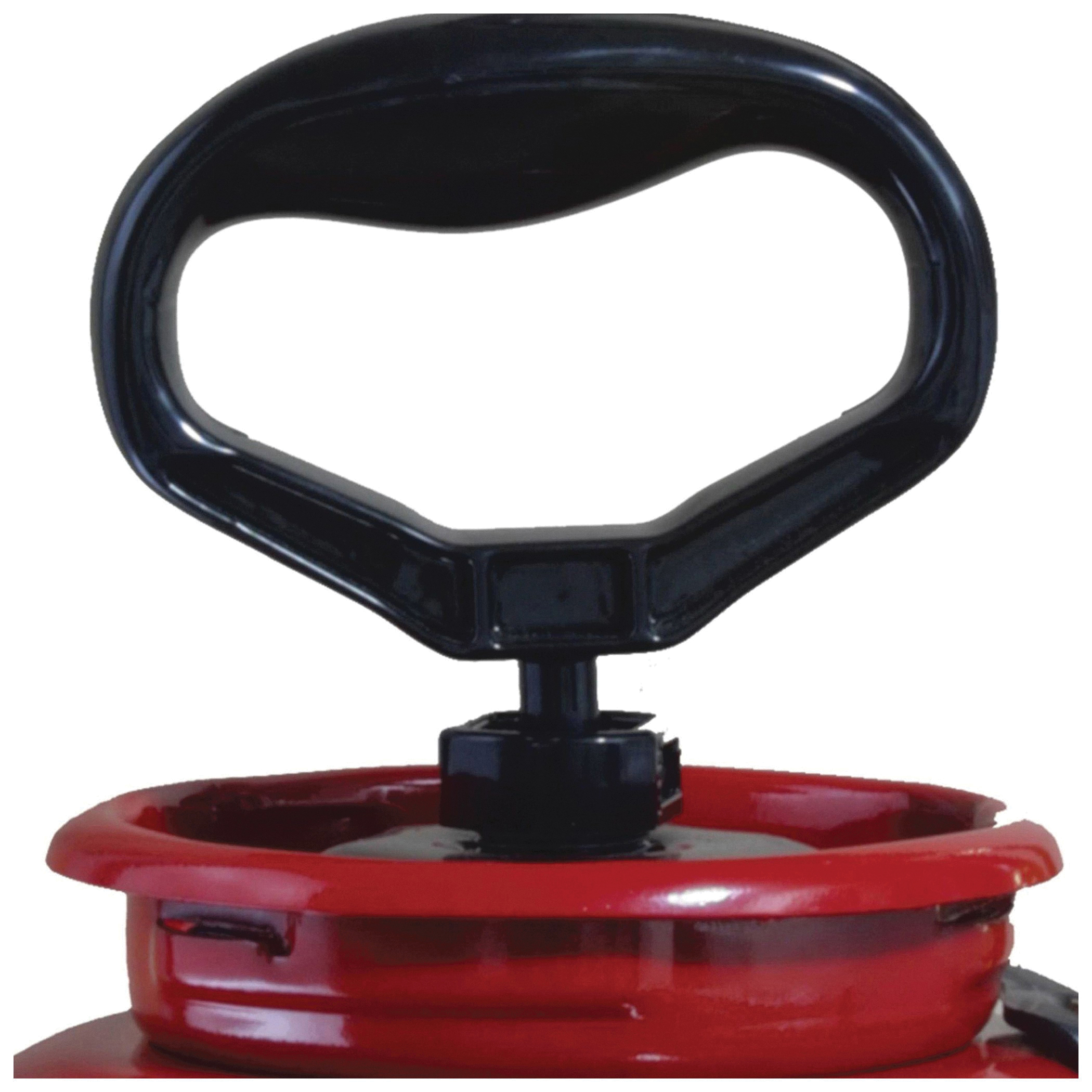 Chapin&reg; 1949 1206523