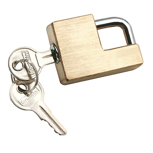 REESE TOWPOWER&reg; 7005300