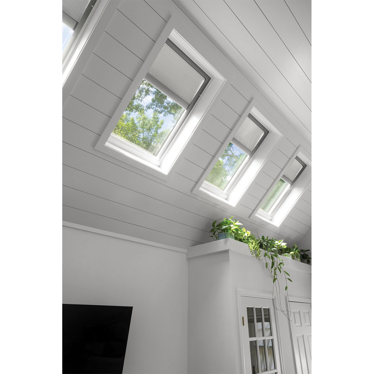 VELUX&reg; FS C06 2004 1151830