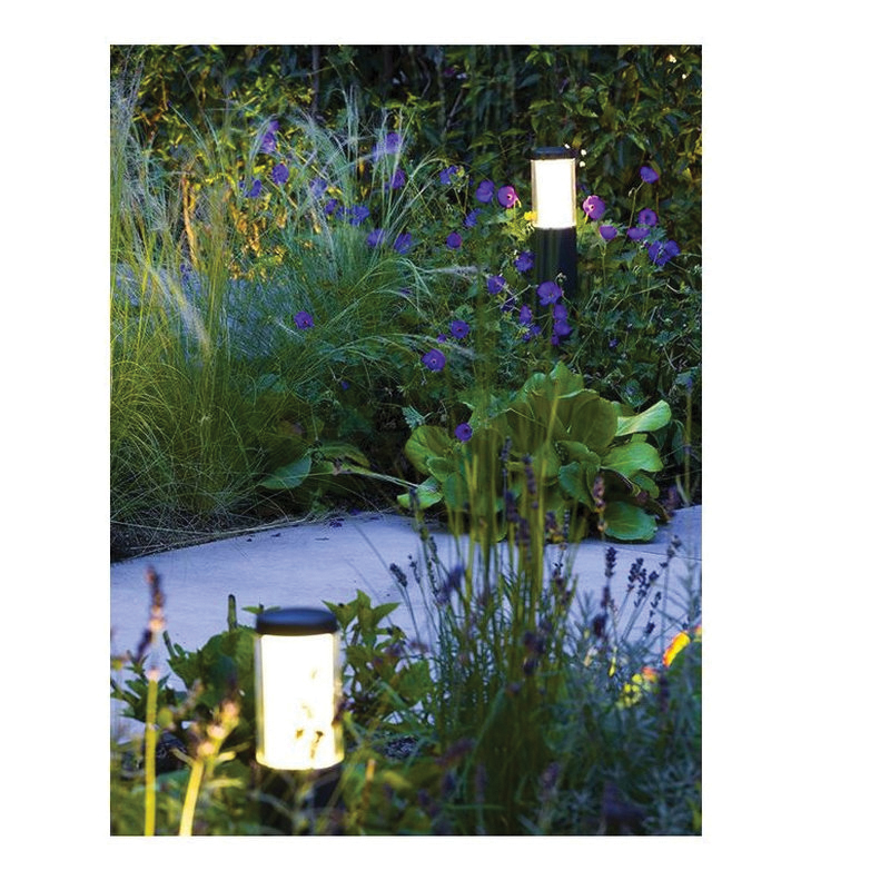 in-lite&reg; 10201761 1220952