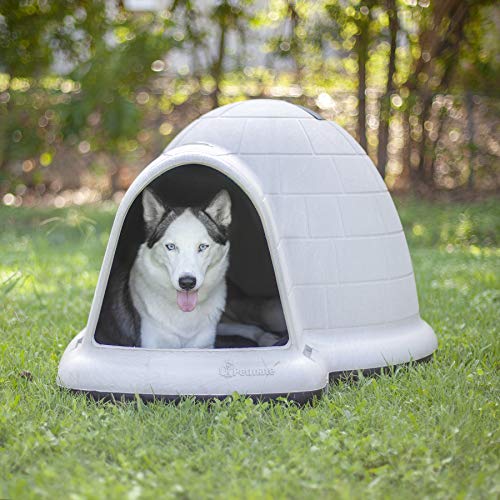 Dog Houses & Accessories