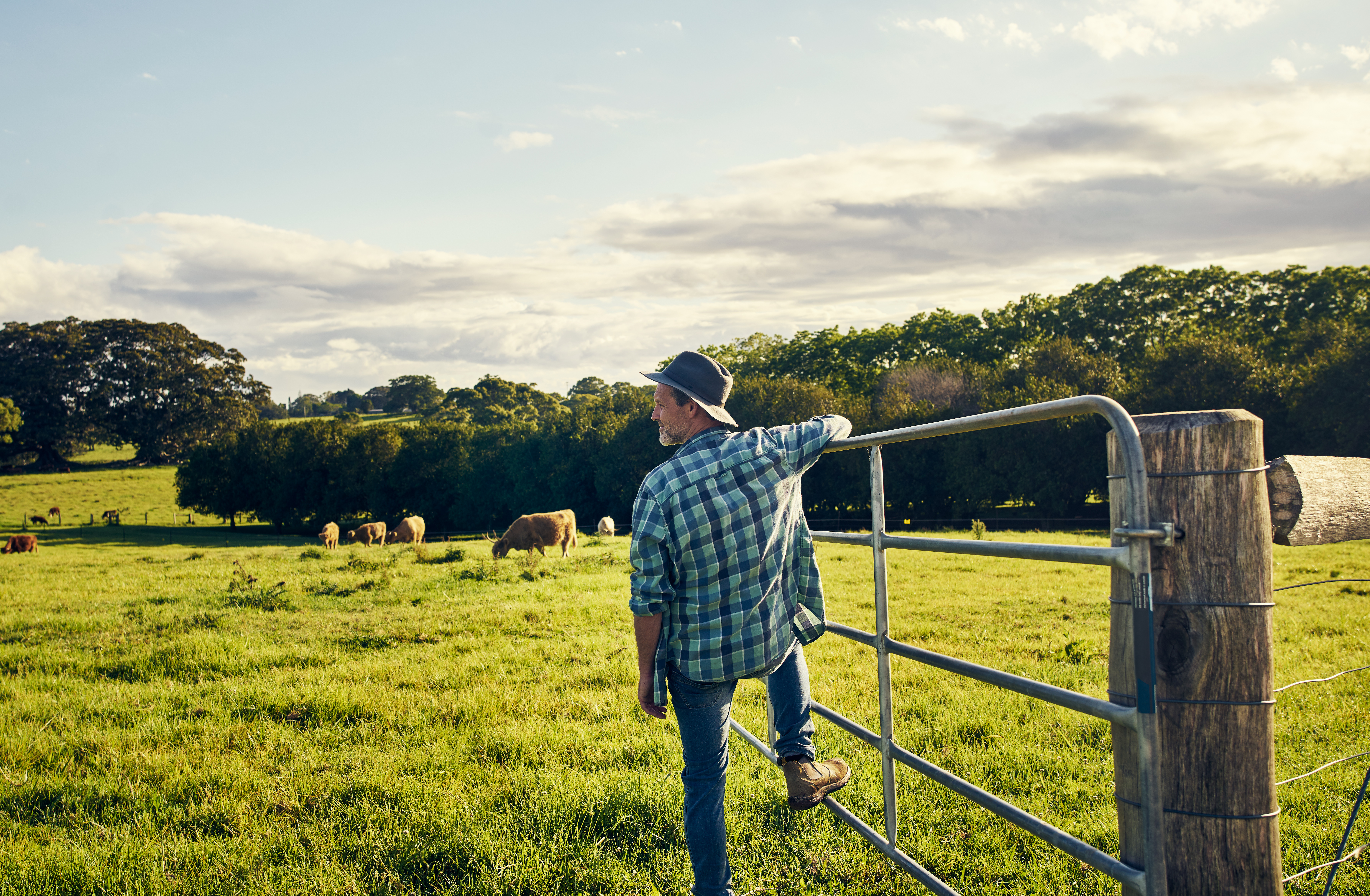 Farm Gates
