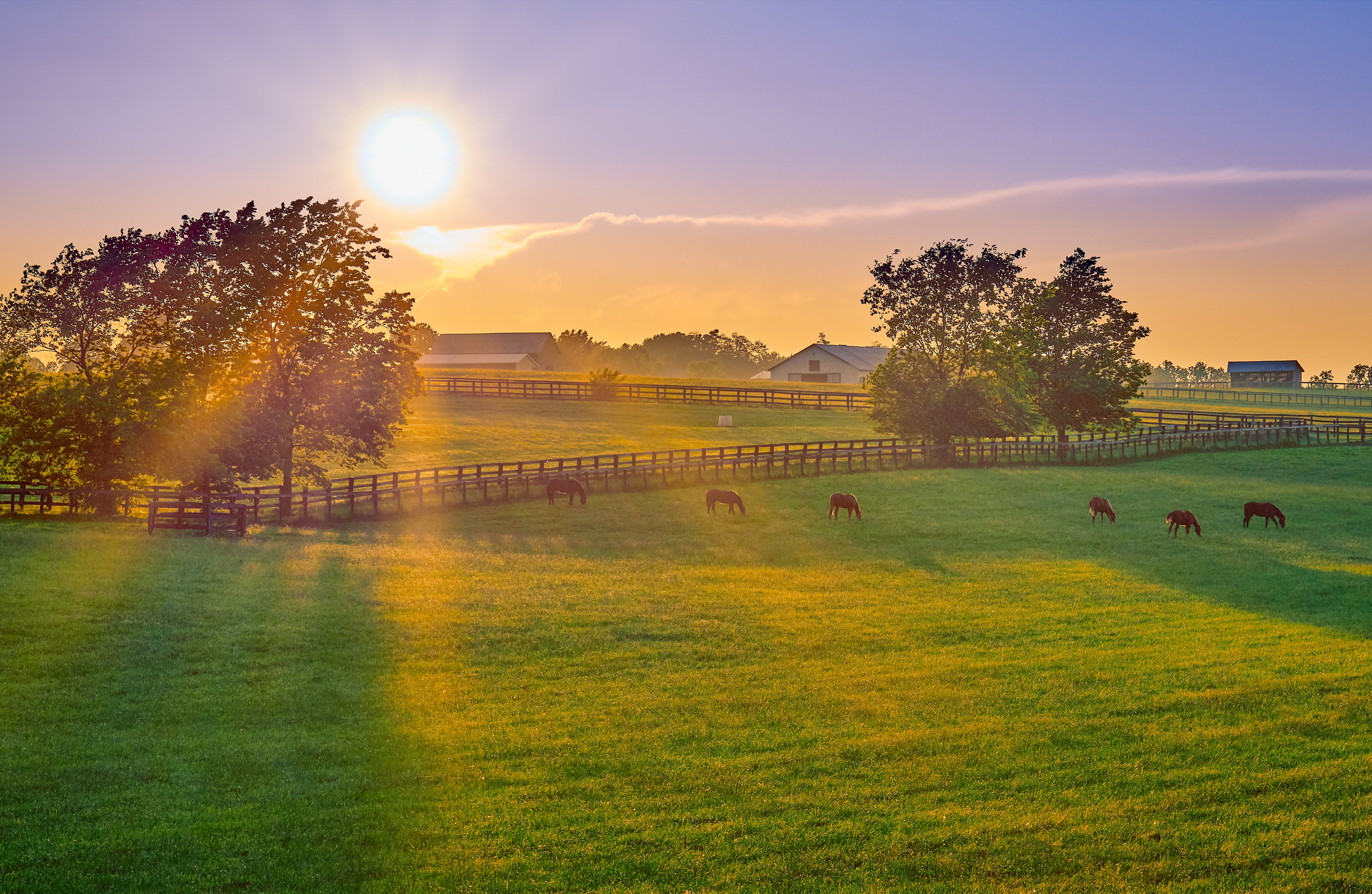 Farm & Ranch