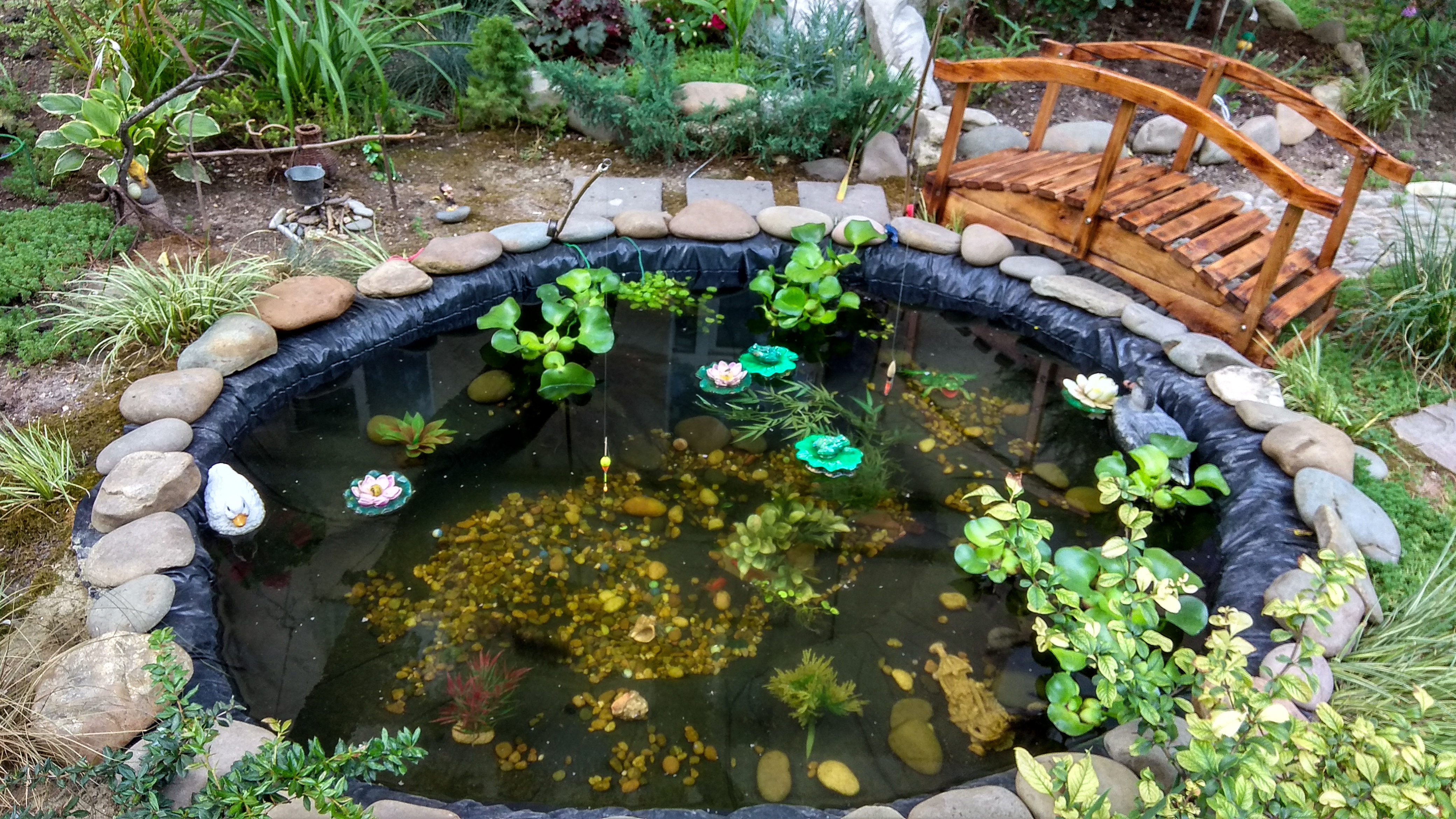 Algae/Weed Control