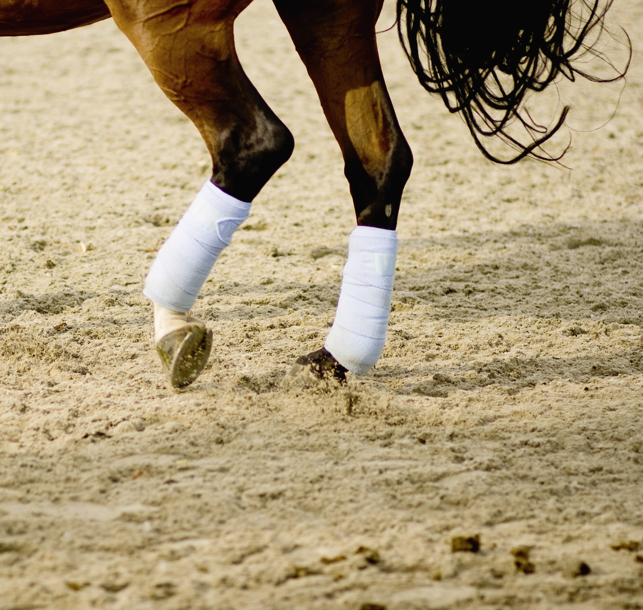 Boots & Leg Wraps