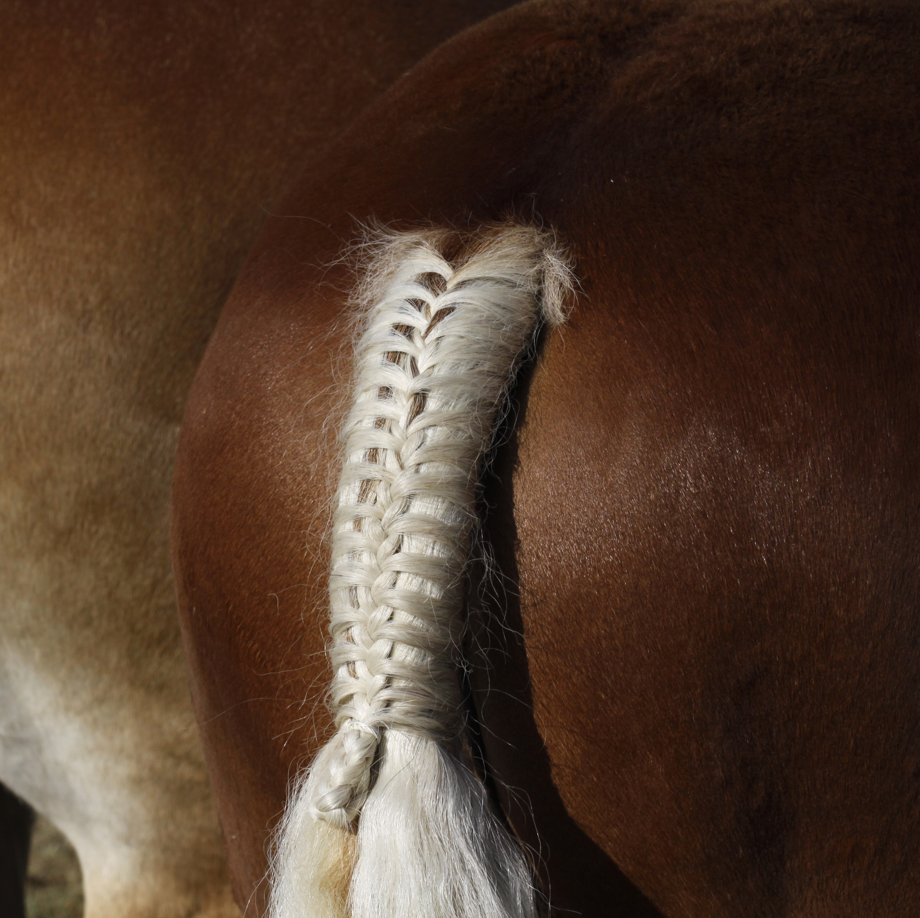 Braiding & Tail Bags