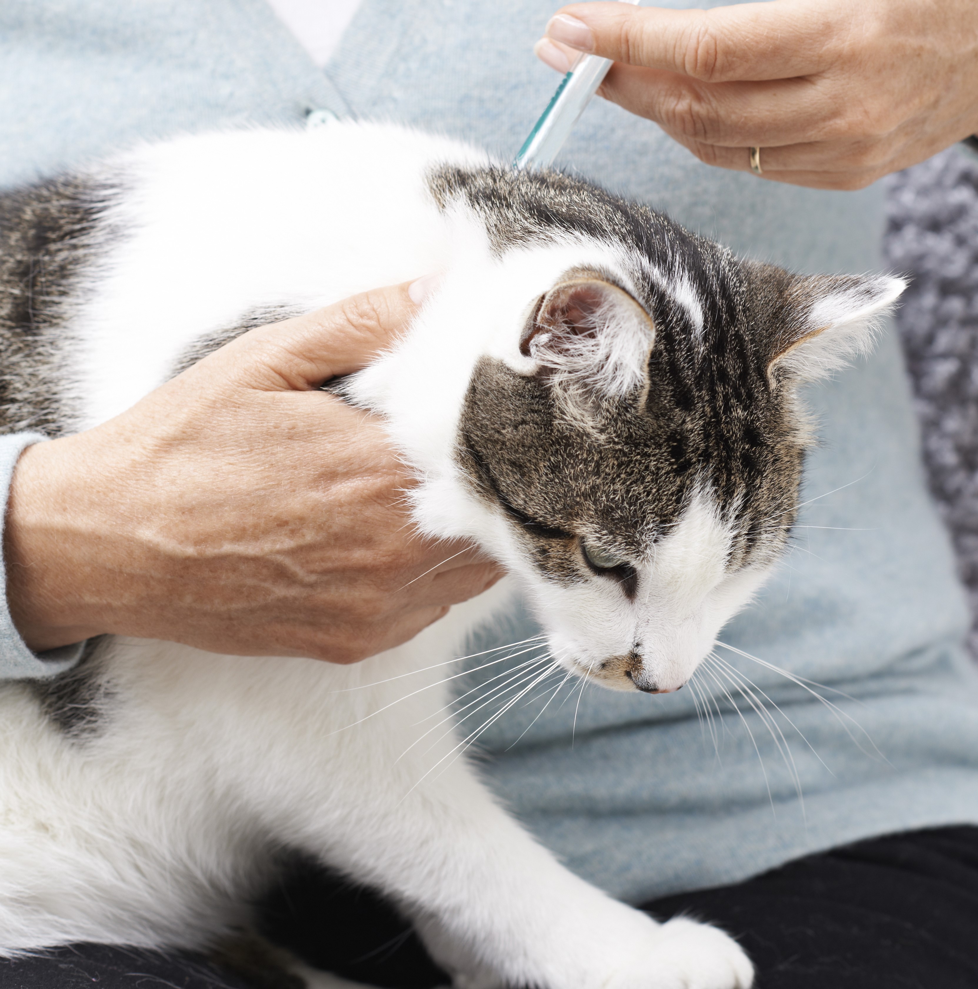 Topical Treatments