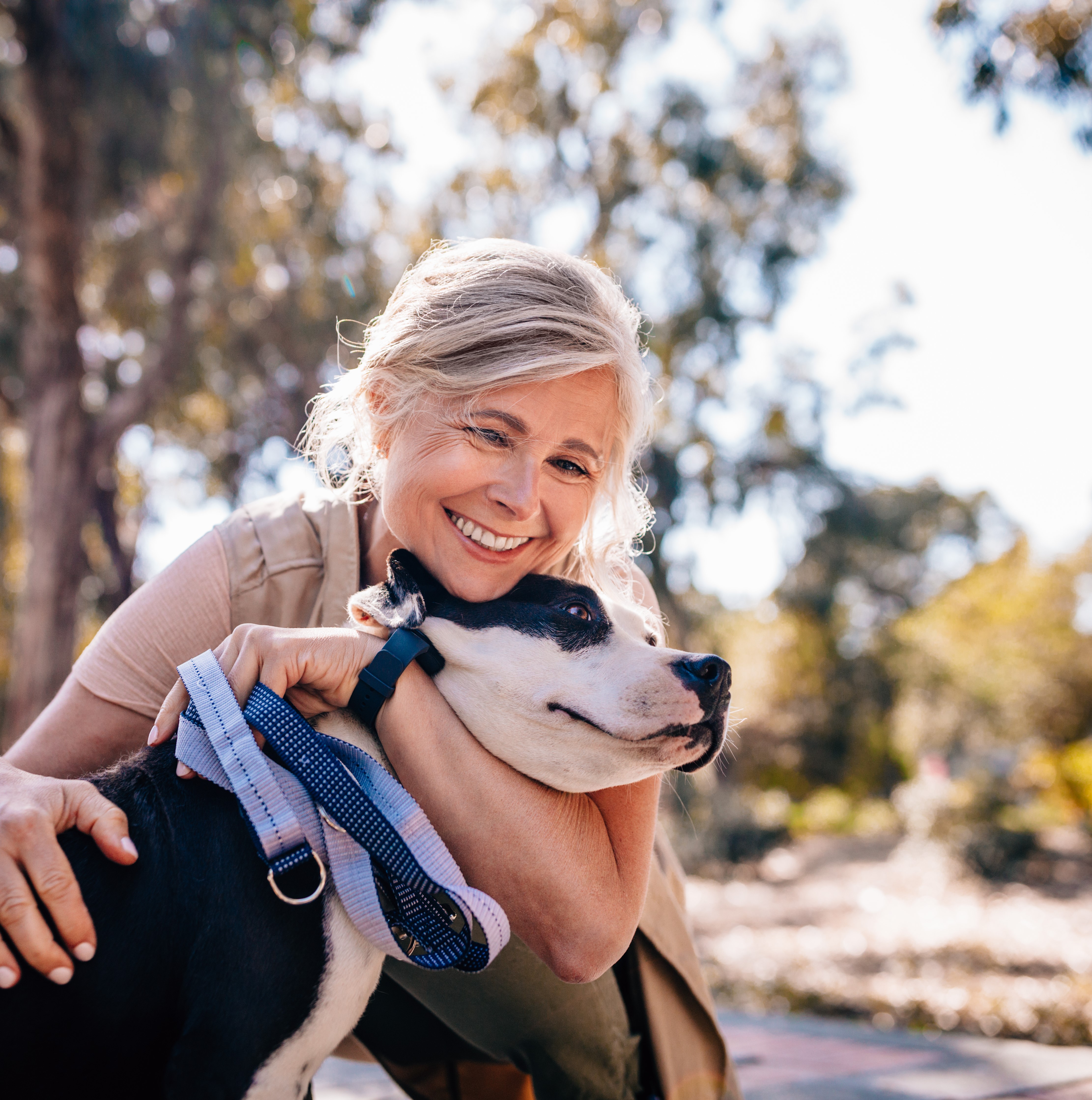 Dog Health & Wellness