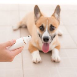 Odor & Stain Removal