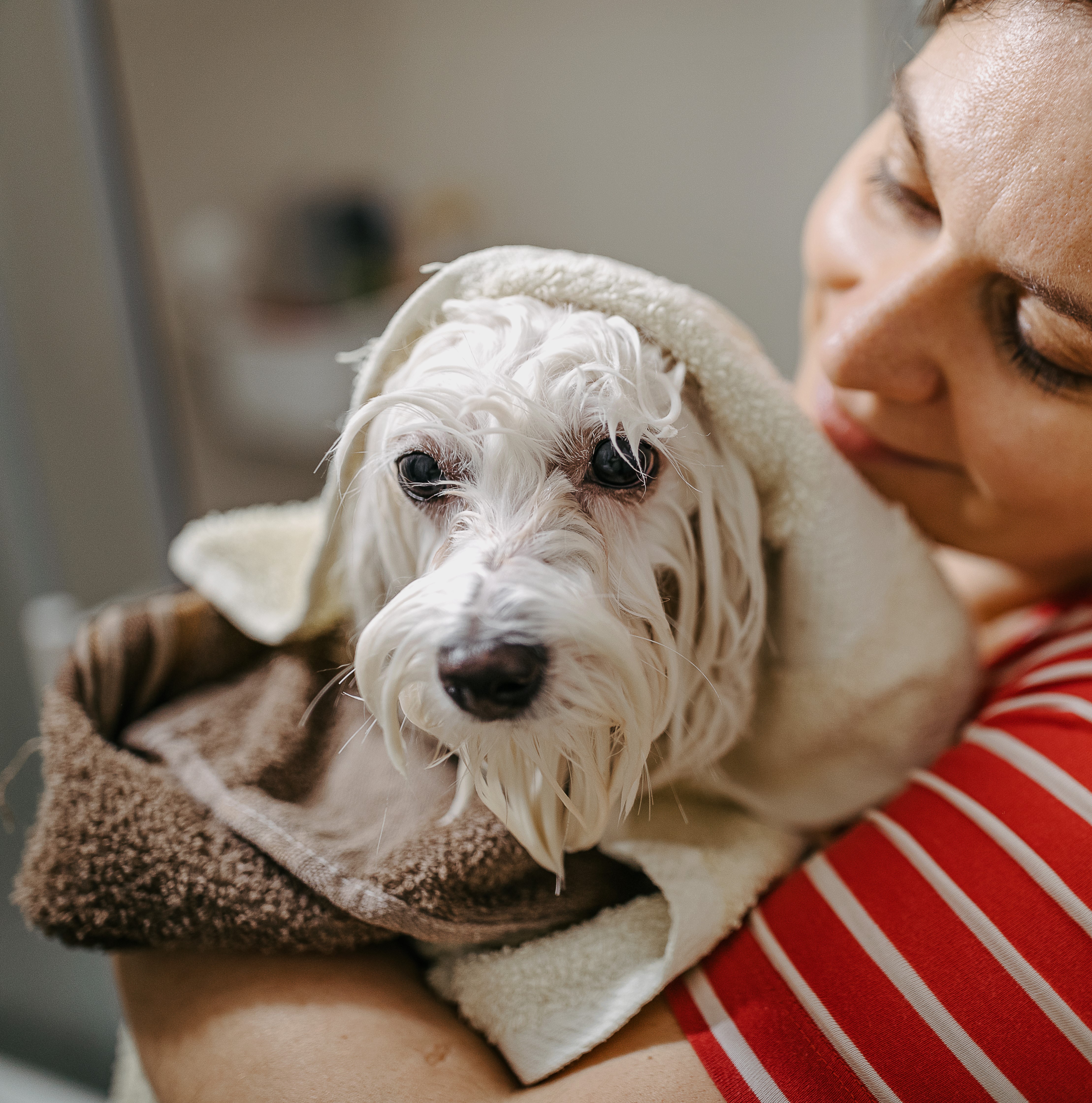 Pet Bath Mats & Towels
