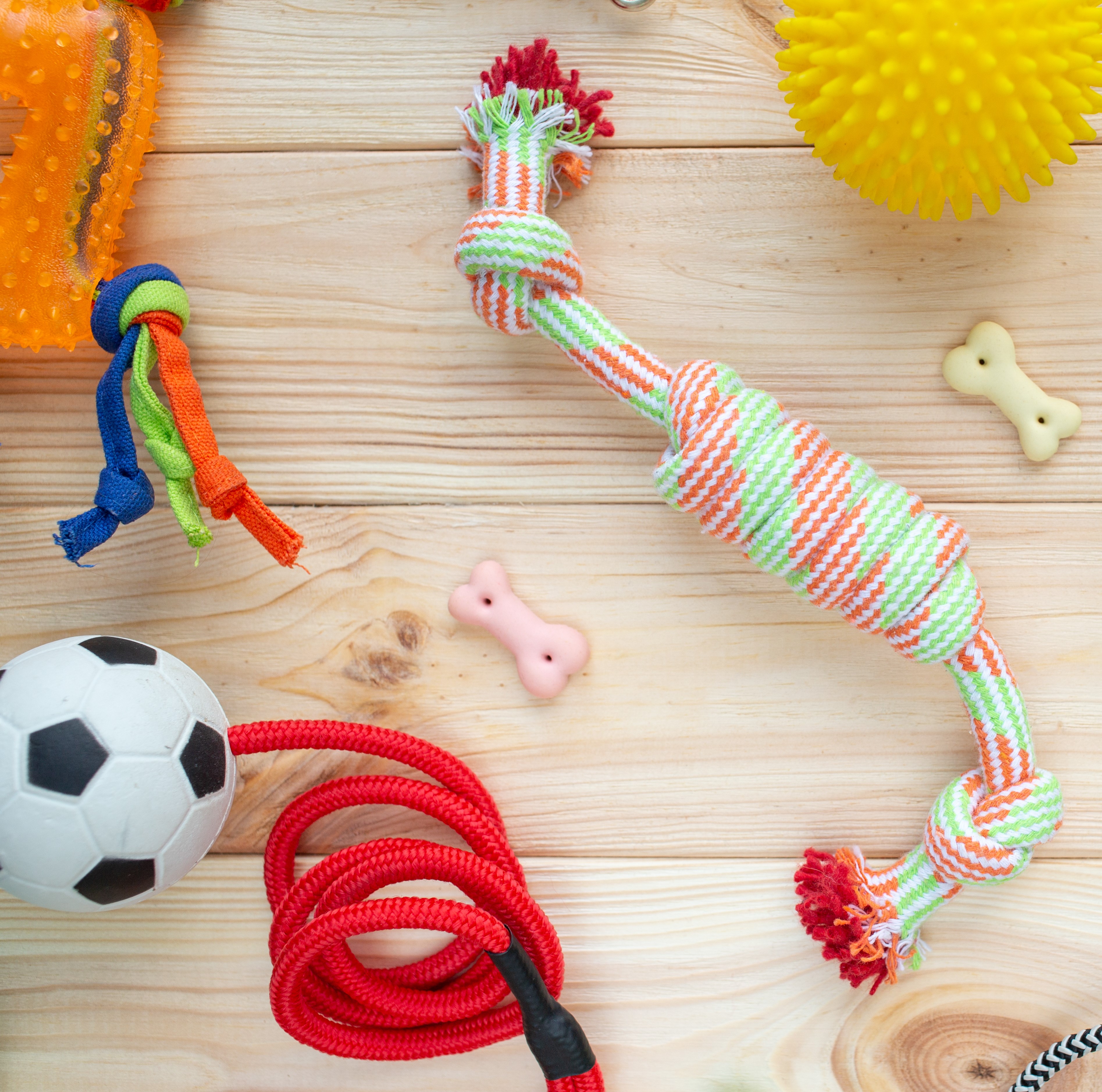 Dog Toys