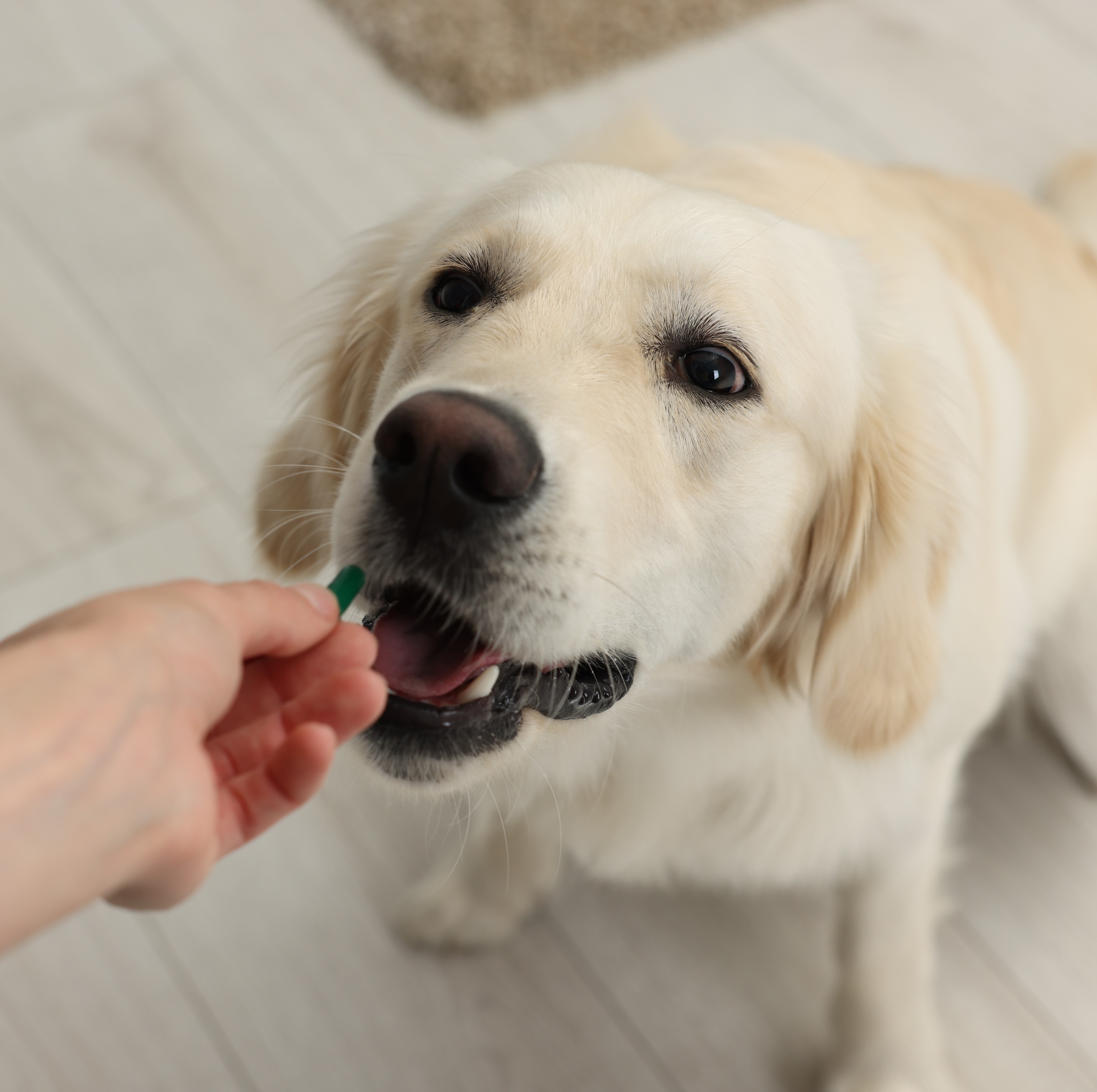 Vitamins & Supplements