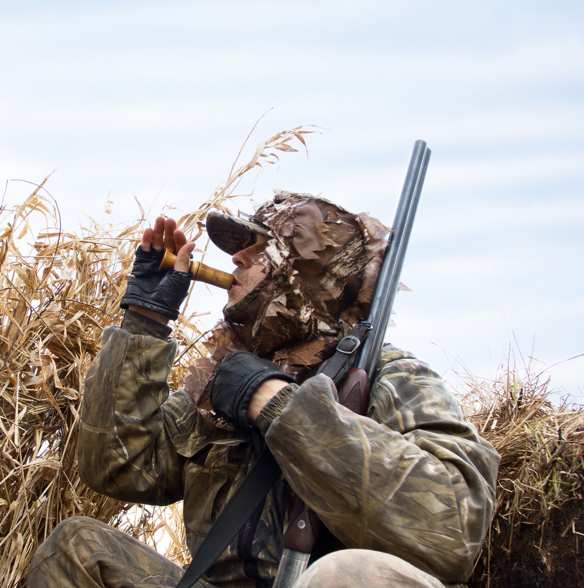 Duck Calls
