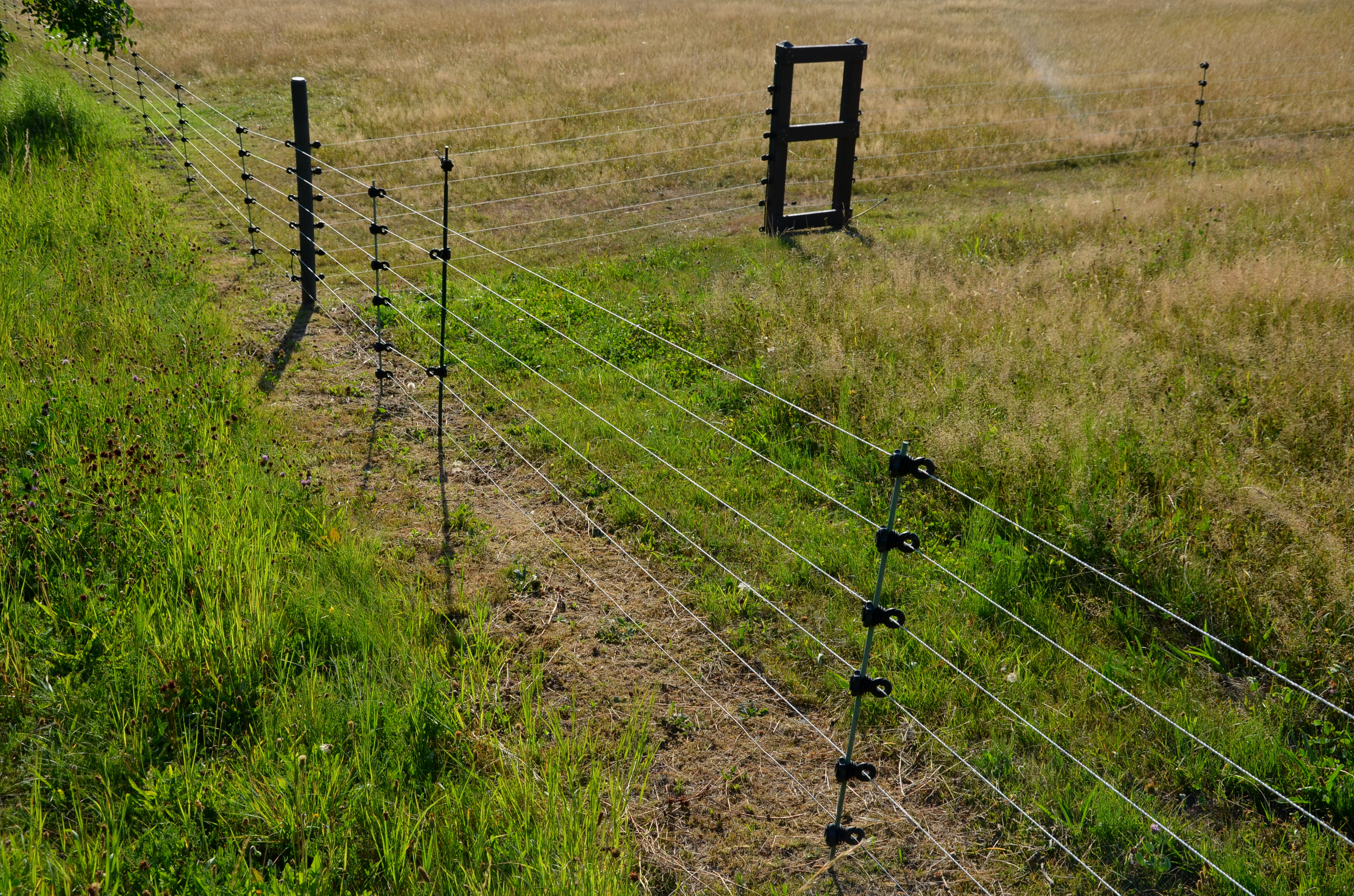 Electric Fence Posts