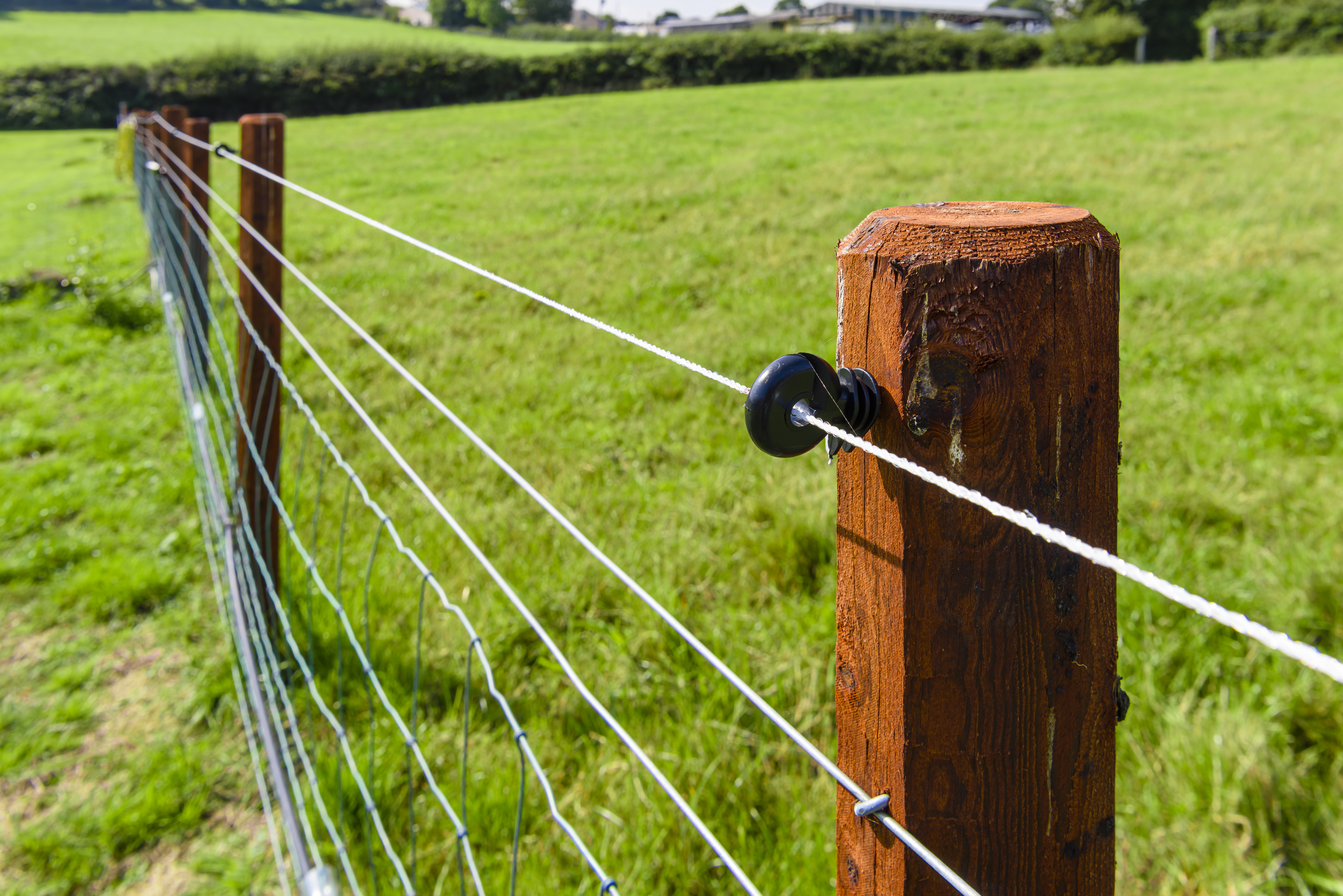 Electric Fencing