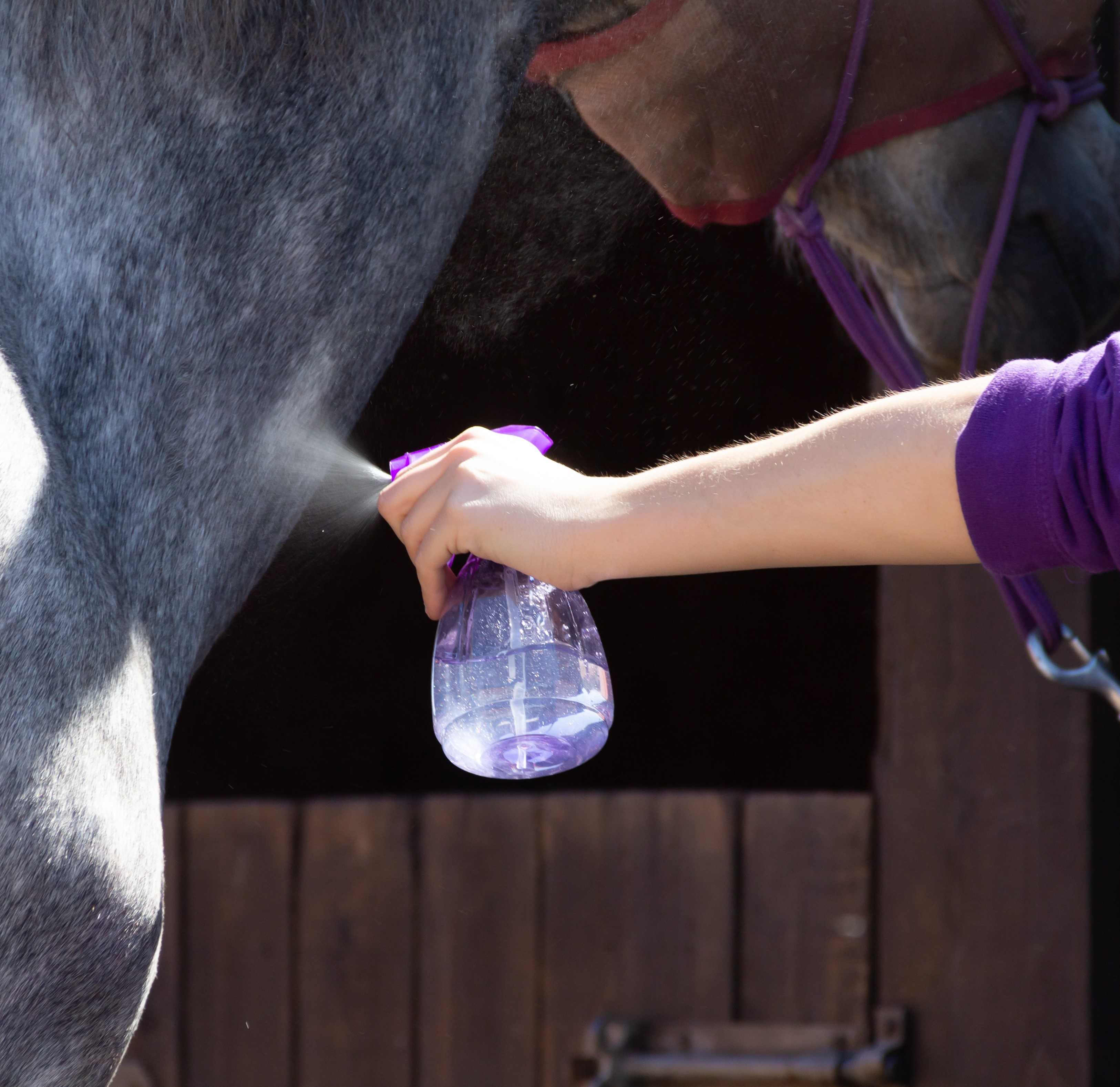Fly Sprays, Wipes & Topicals