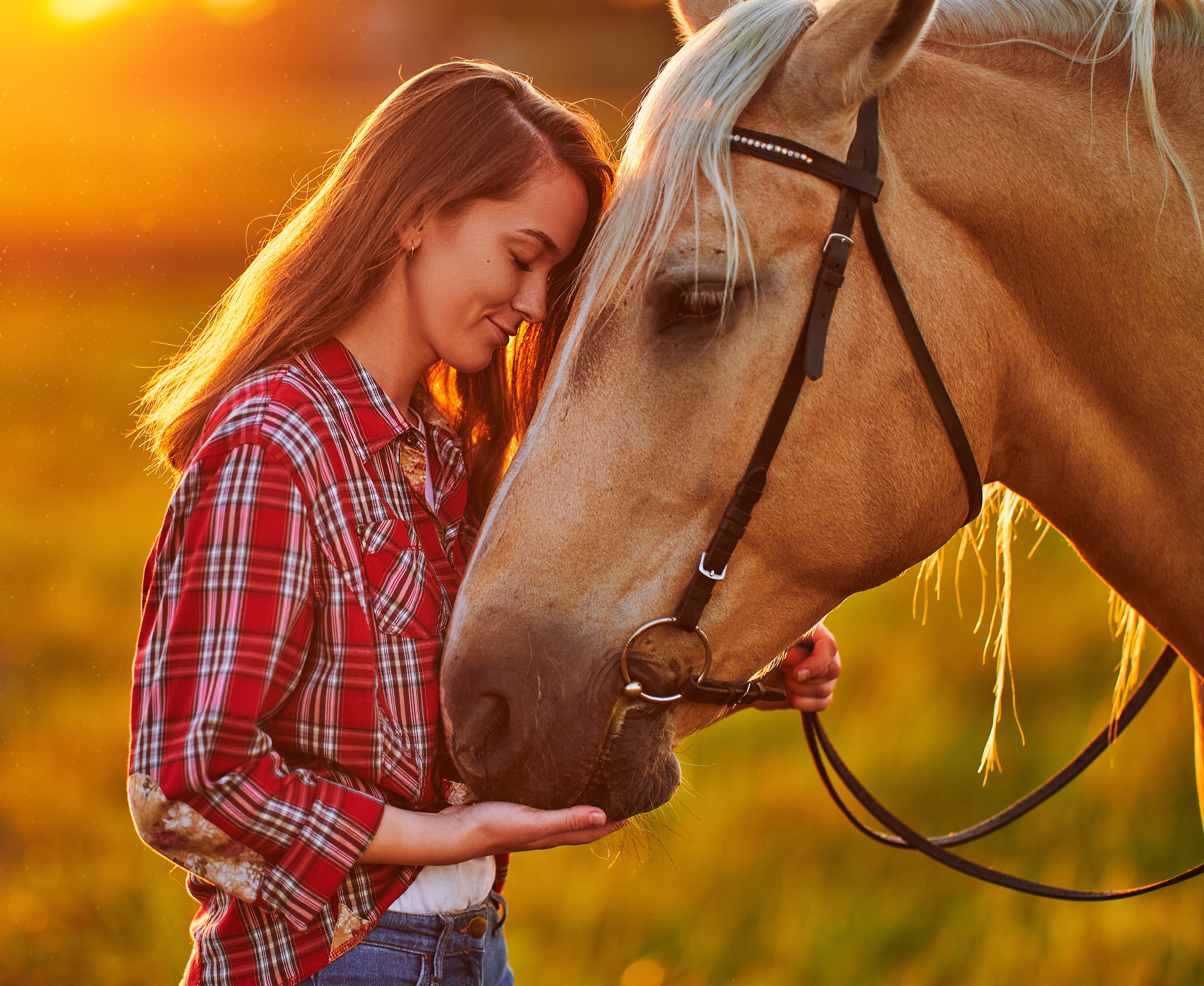 Equine