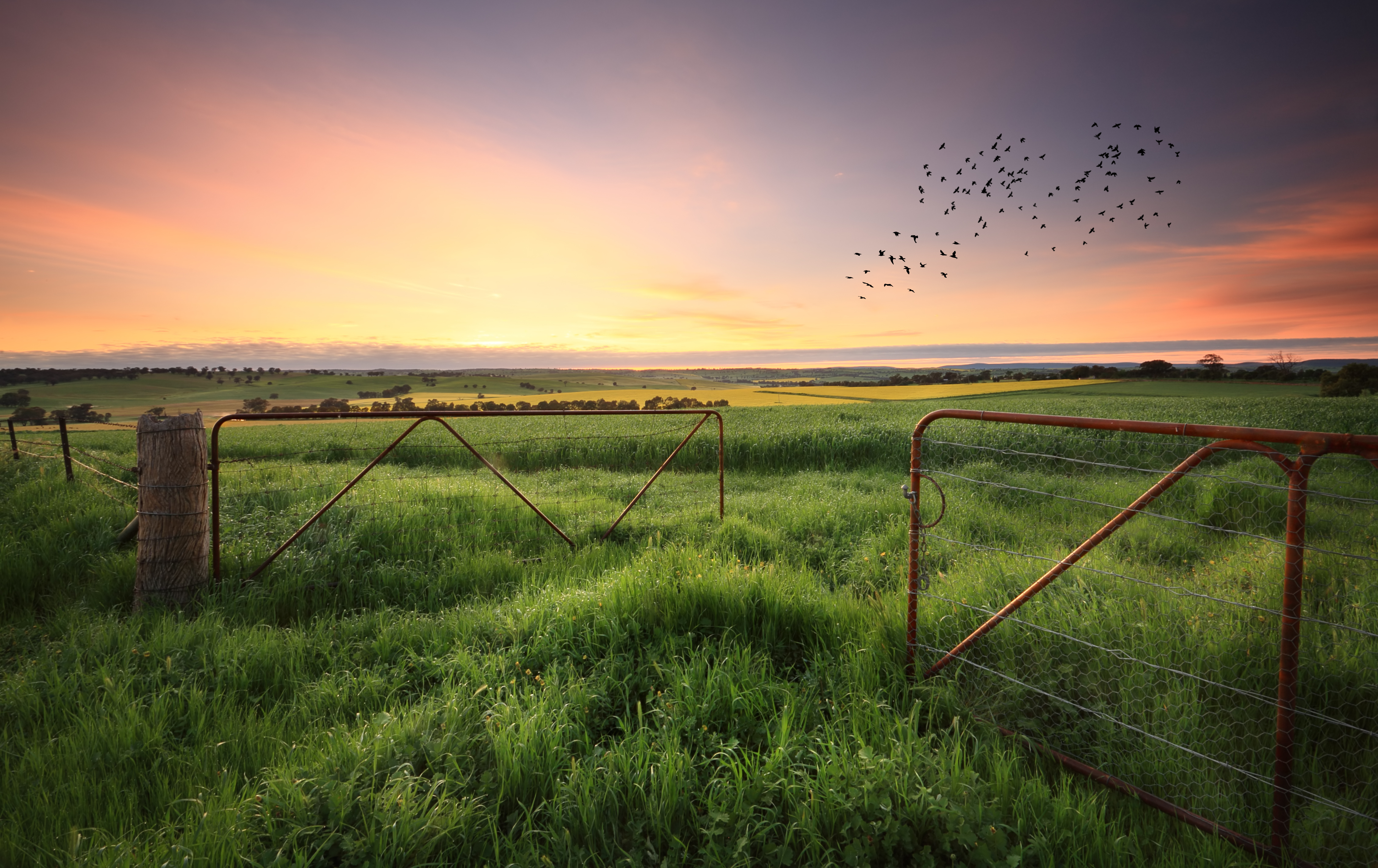 Farm Gates & Accessories