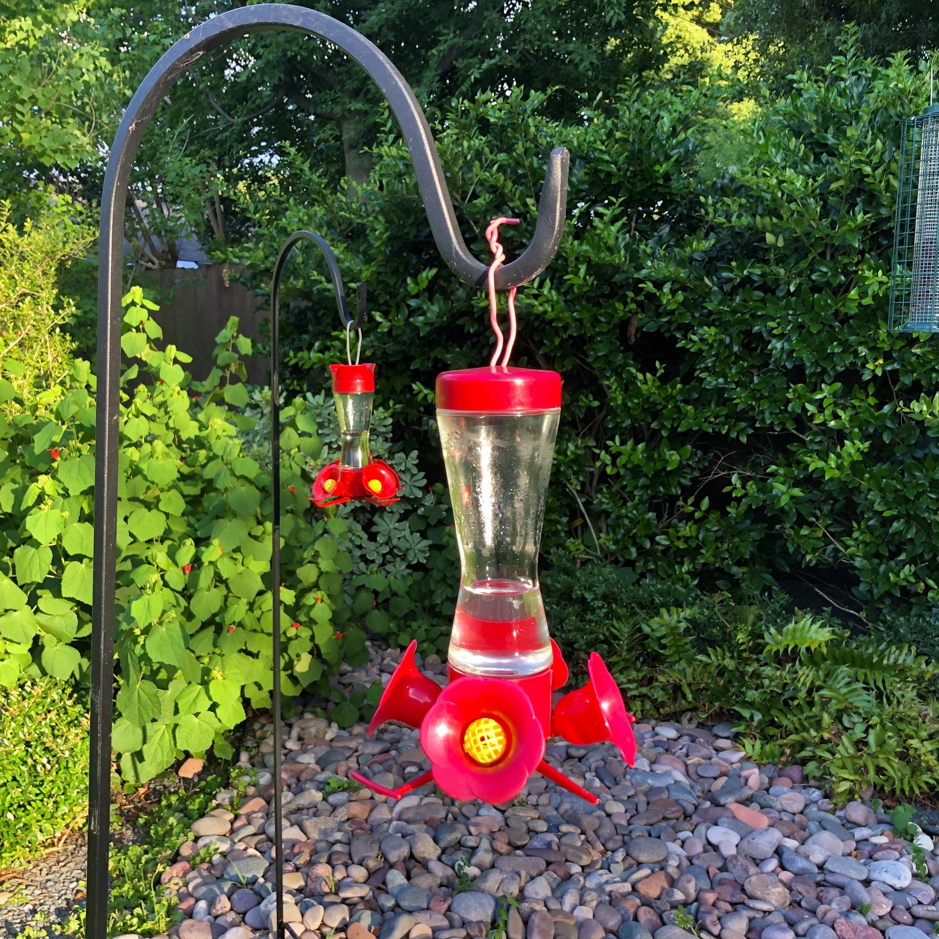 Wild Bird Feeder Accessories
