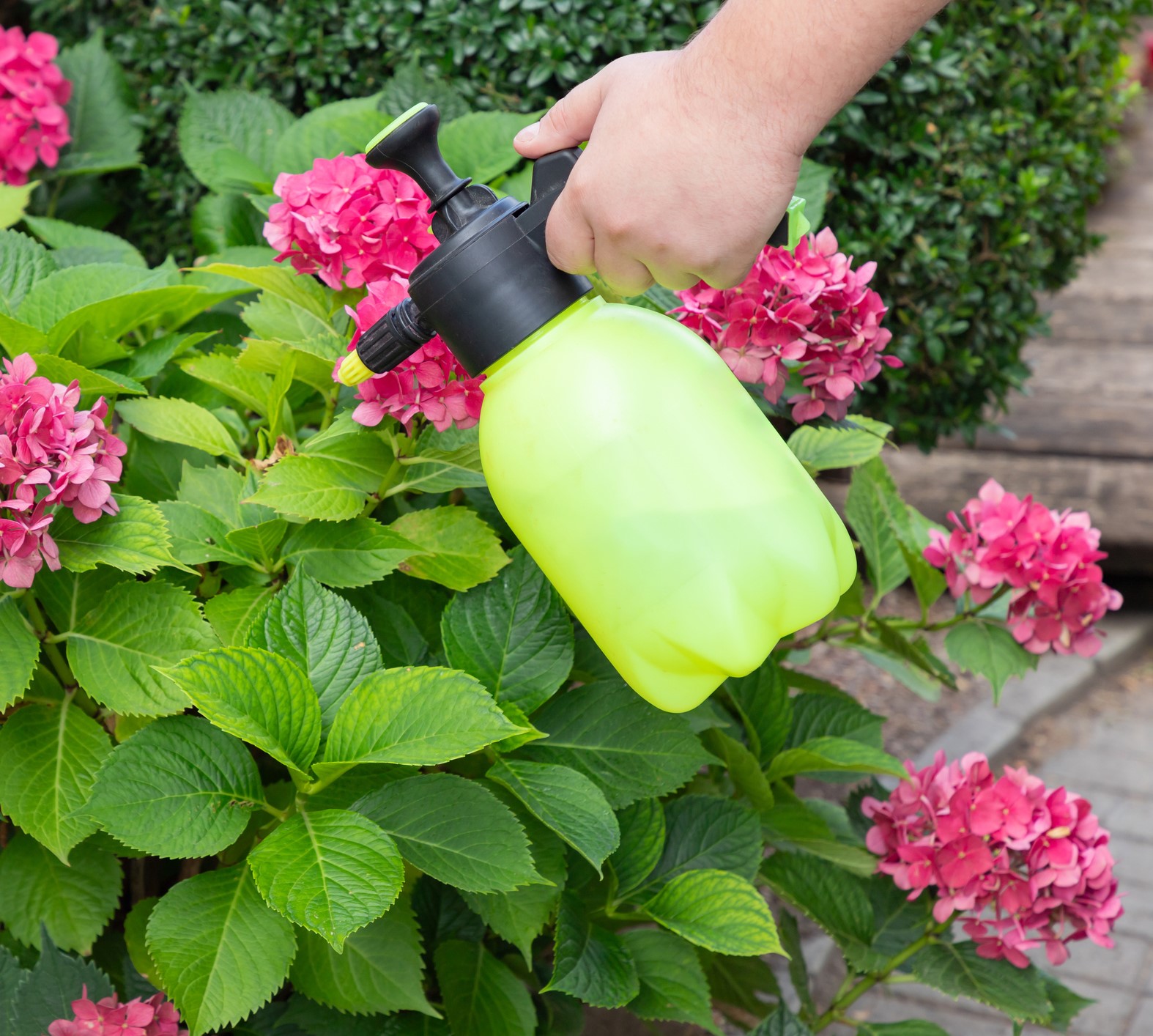 Fungicides