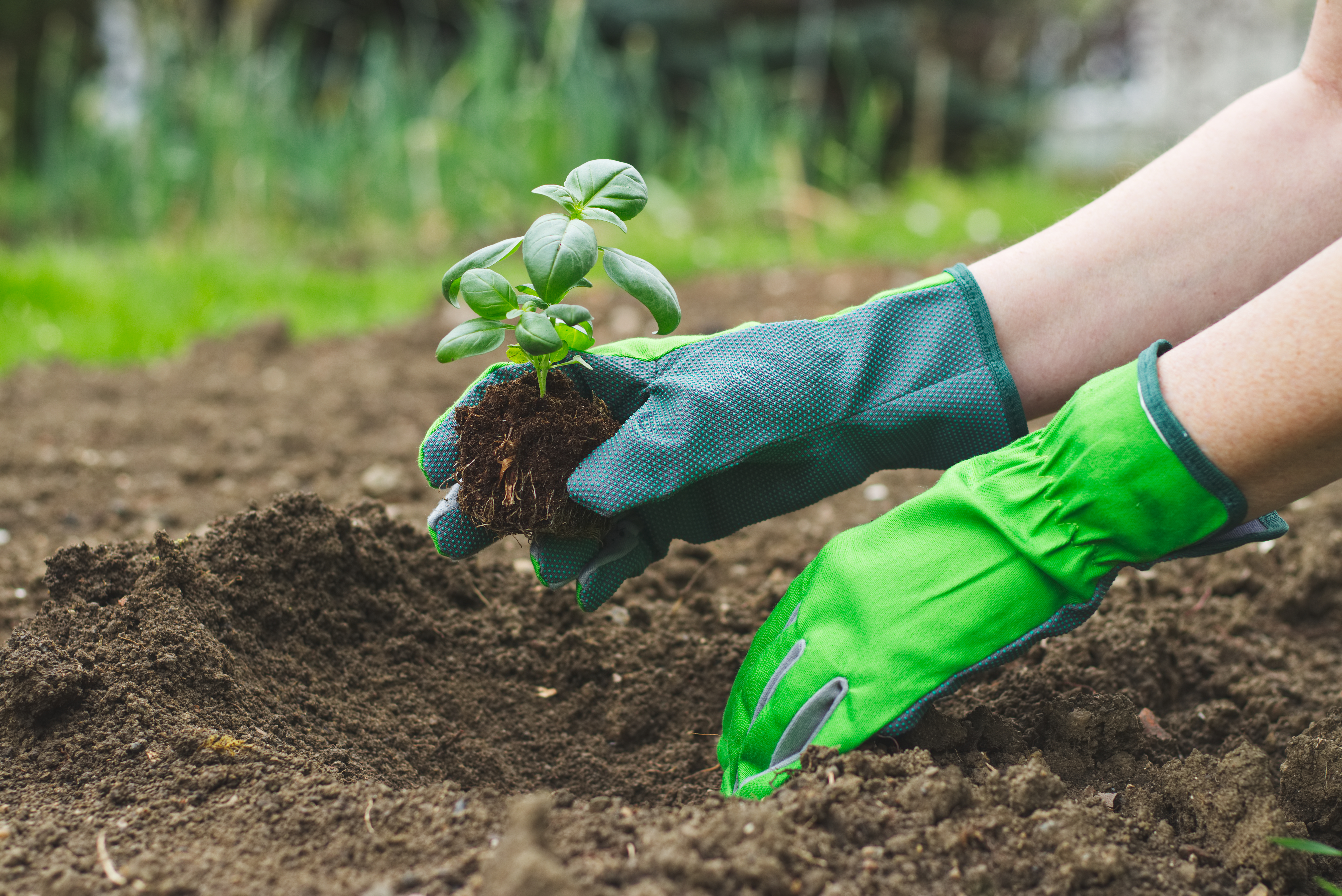 Gardening Gloves