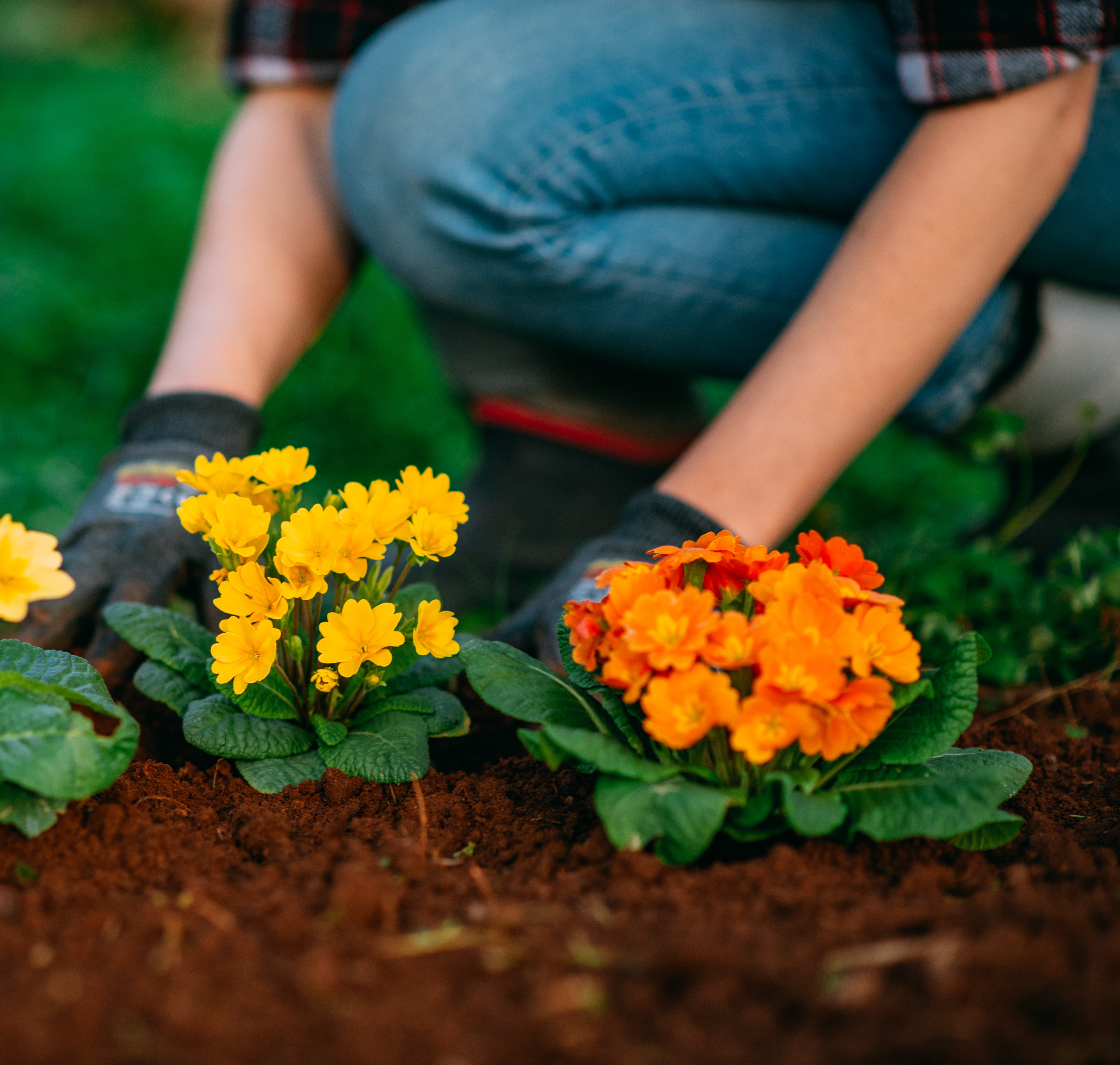 Gardening