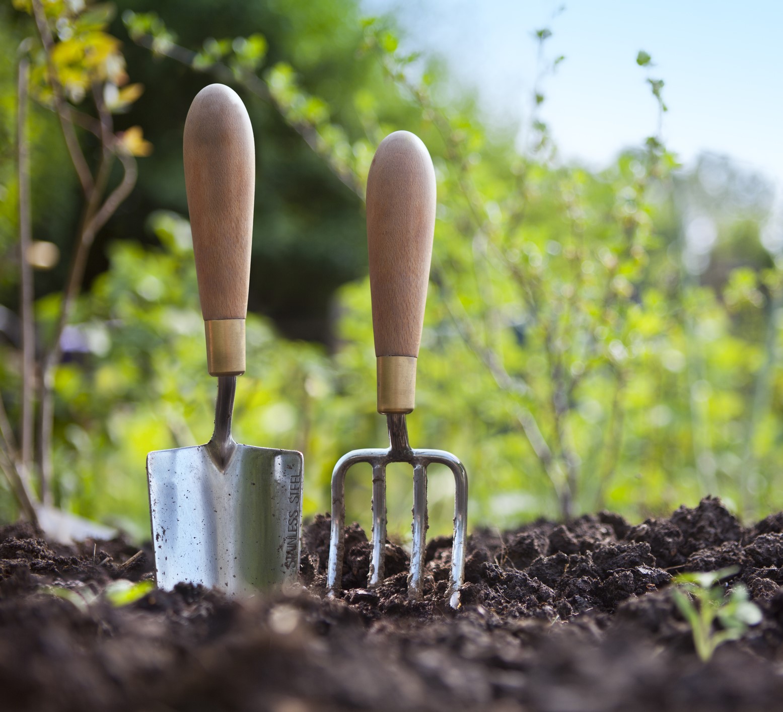 Garden Hand Tools