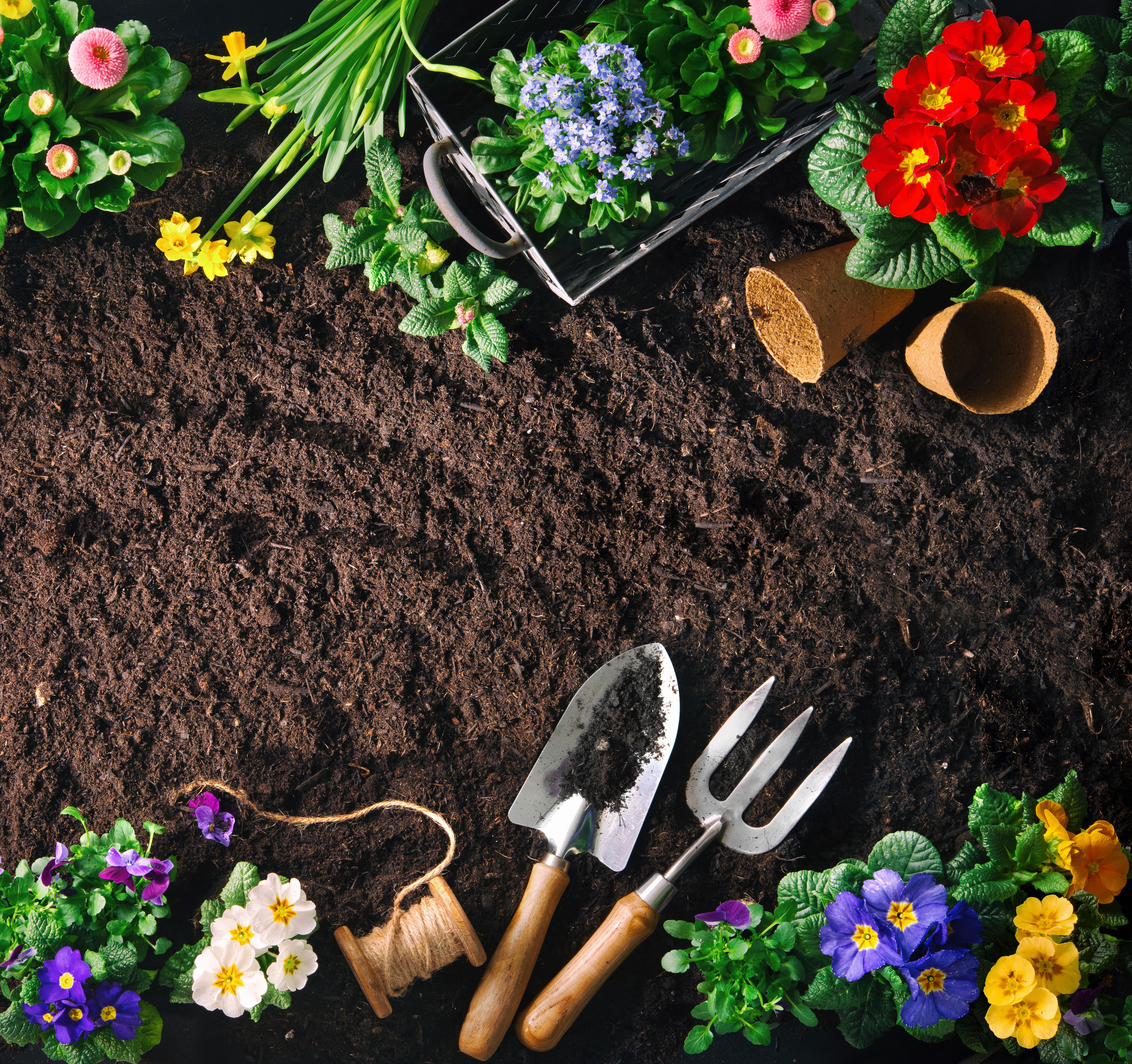 Garden Soil