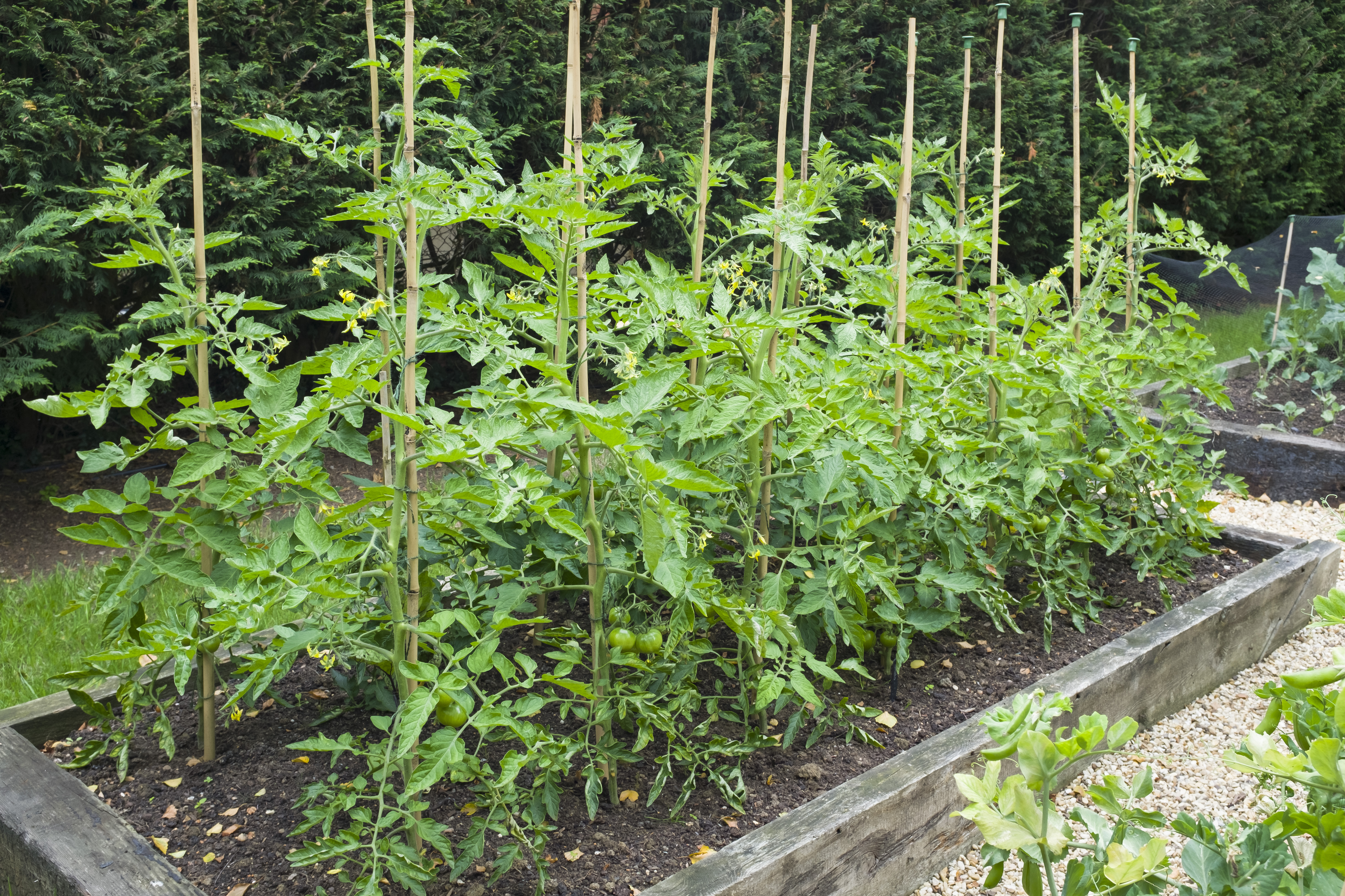 Garden Stakes & Kinetics