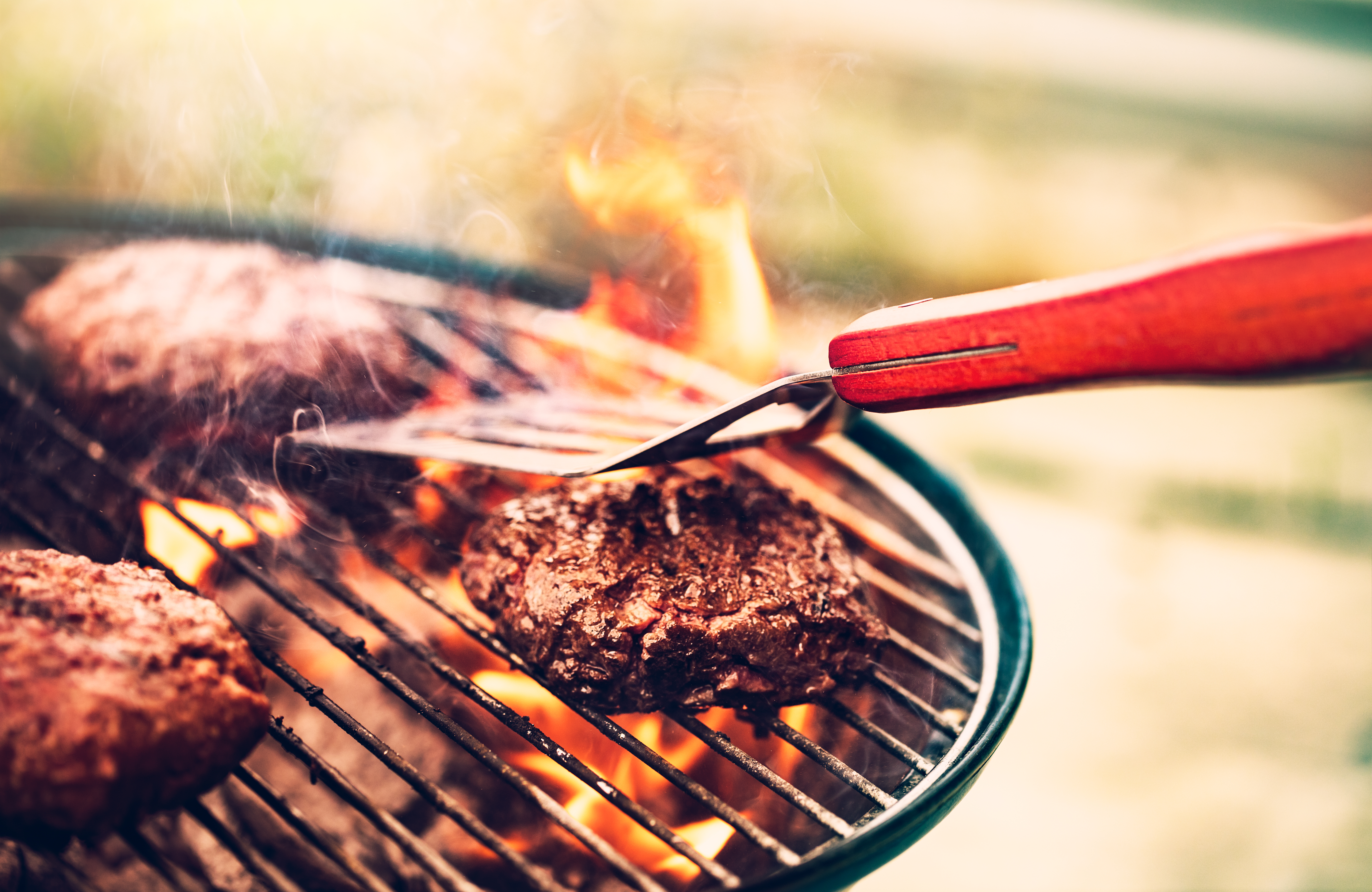Grill Fuel