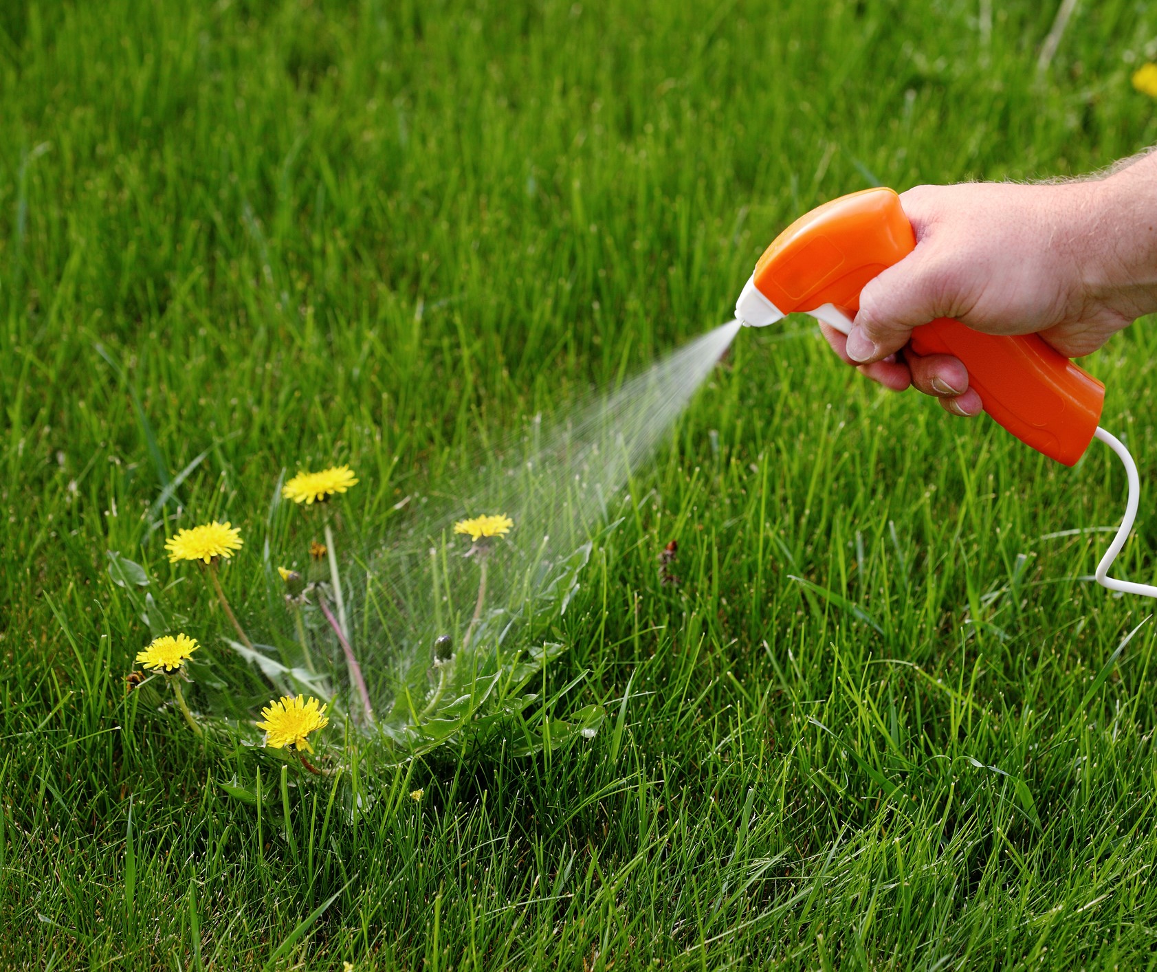 Weed & Grass Control
