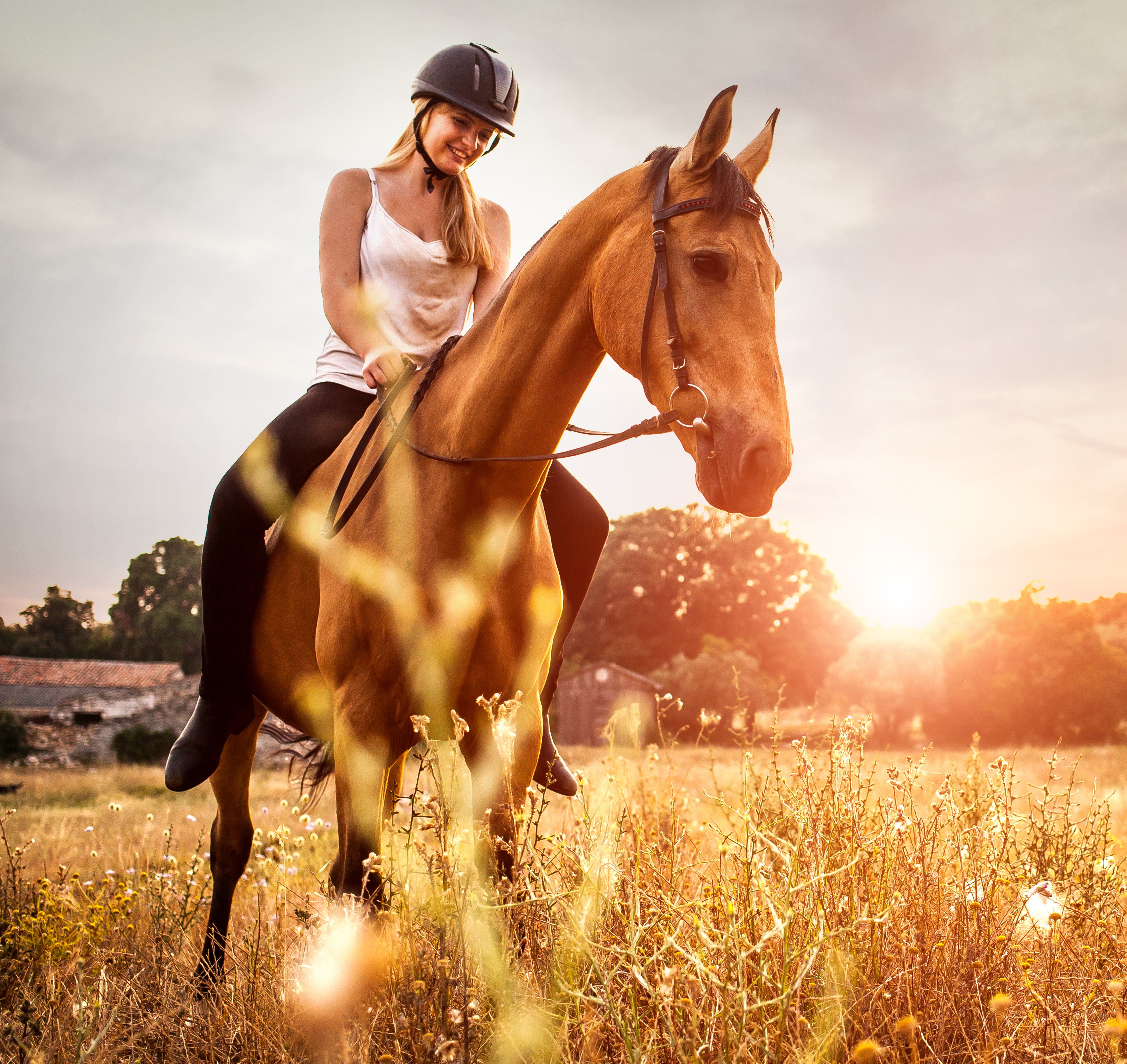 Helmets & Safety Equipment