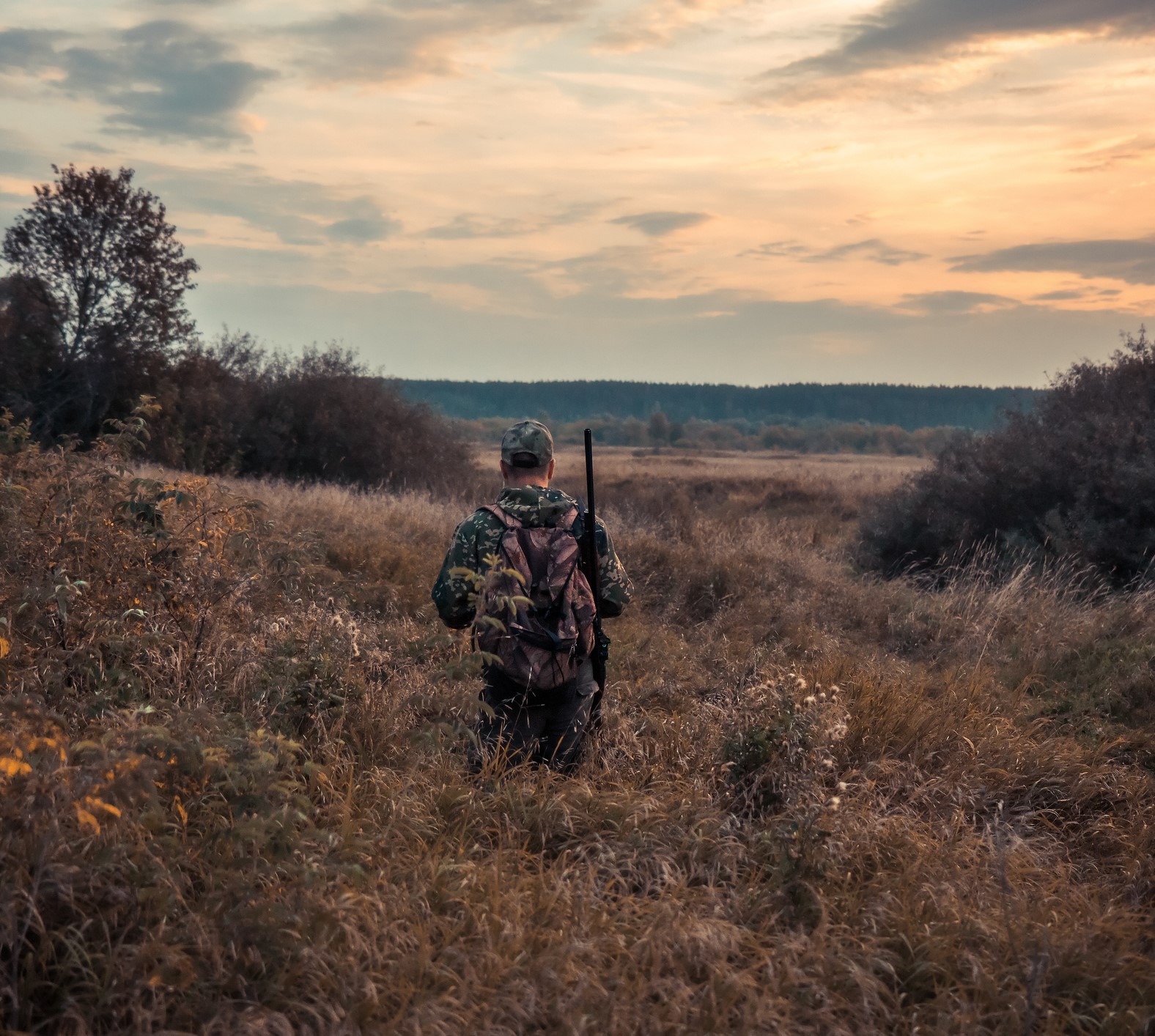 Hunting