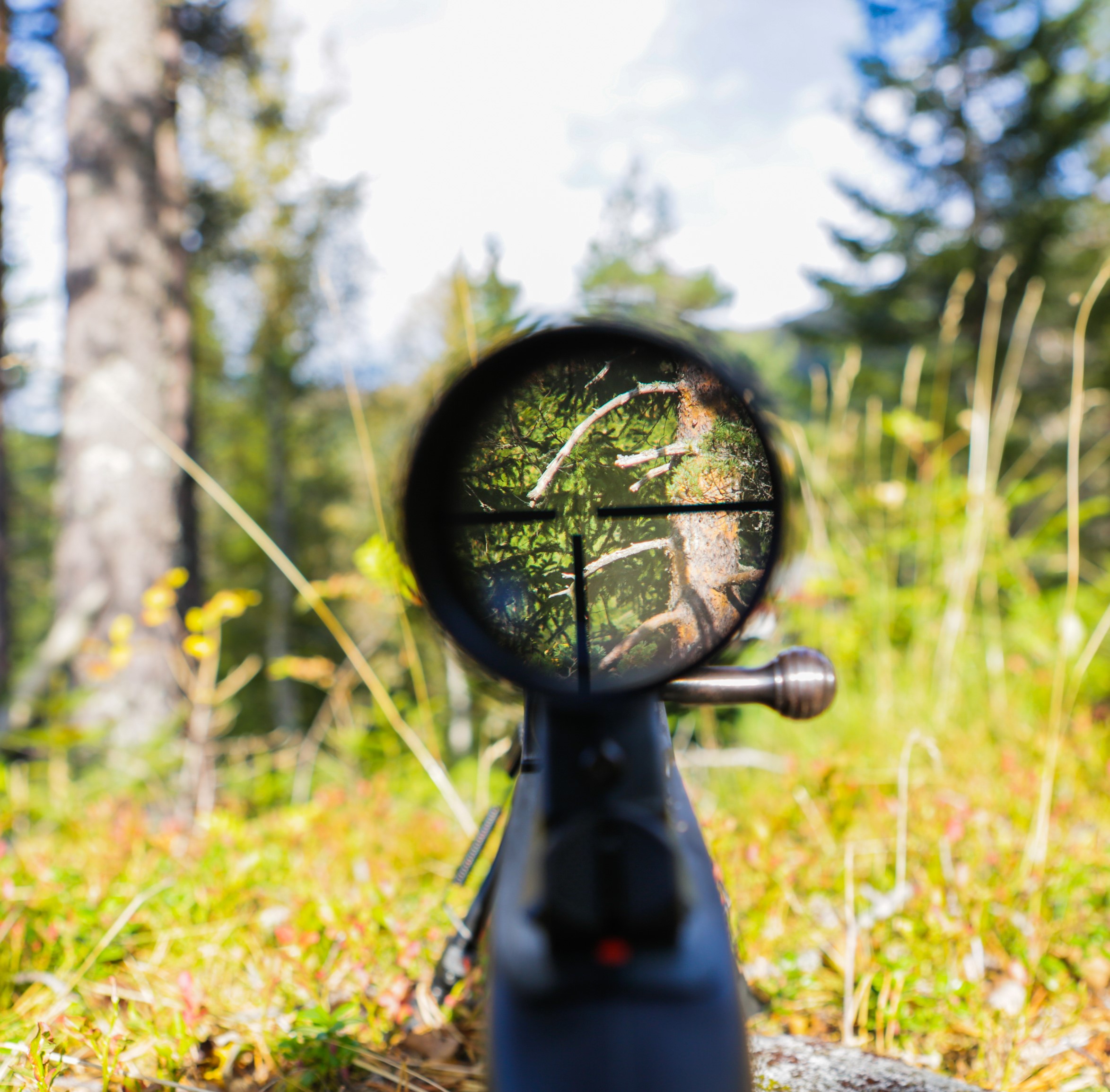 Other Hunting Accessories
