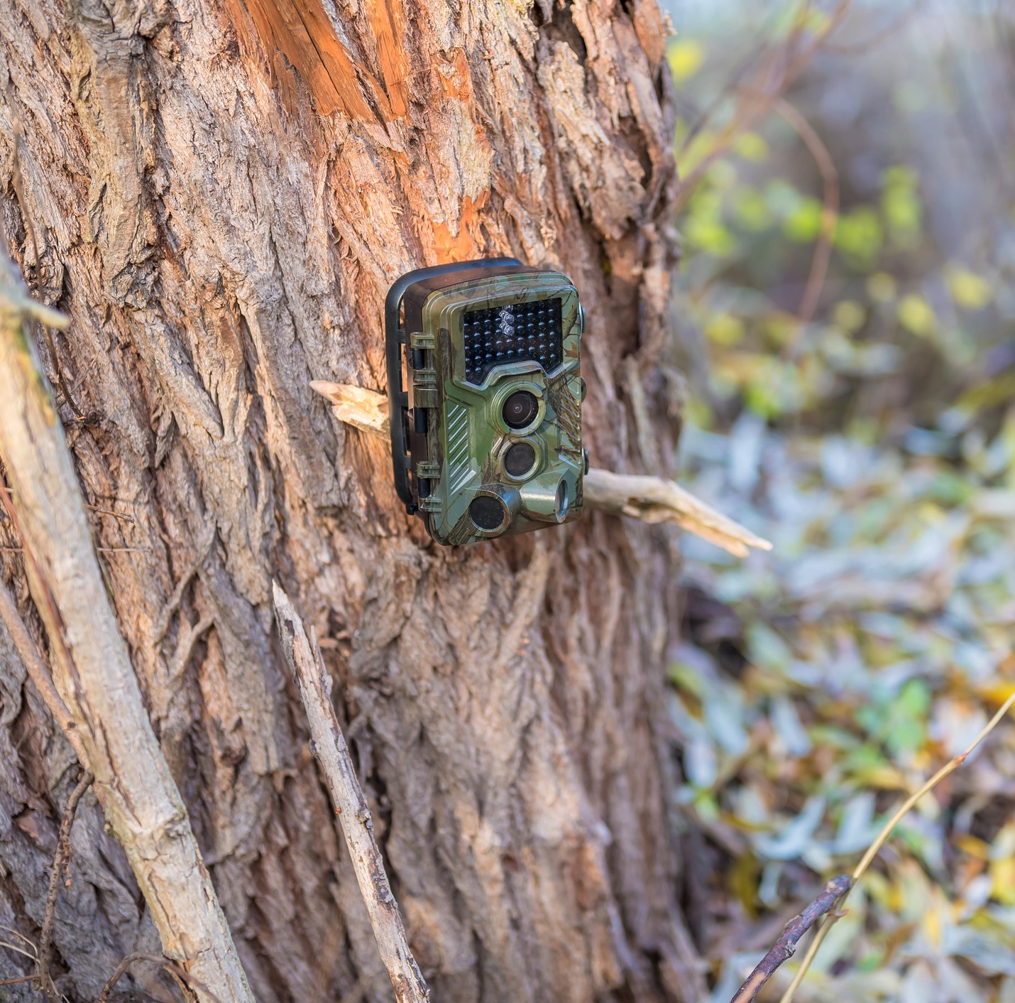 Trail Cameras & Accessories