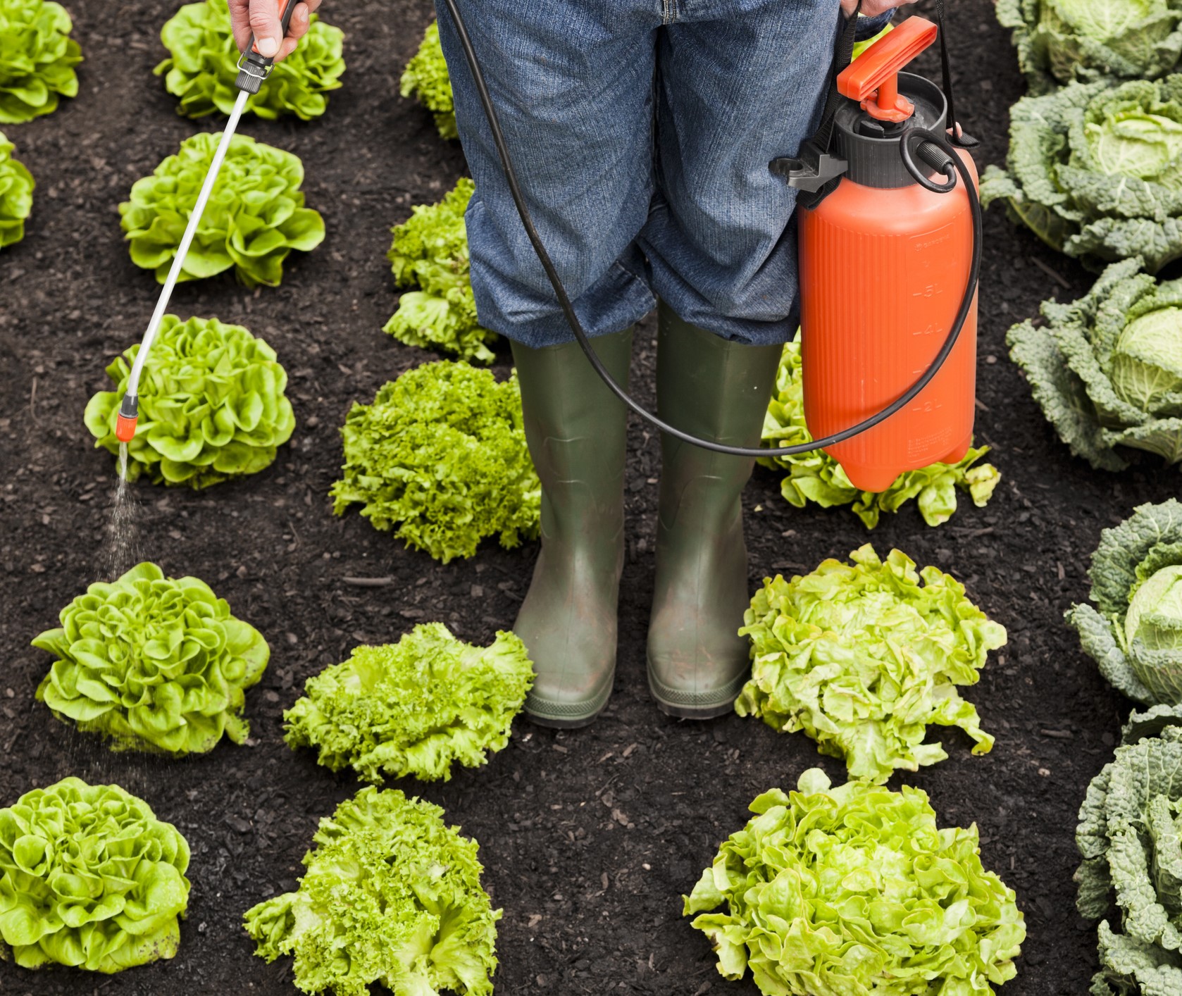 Insecticides