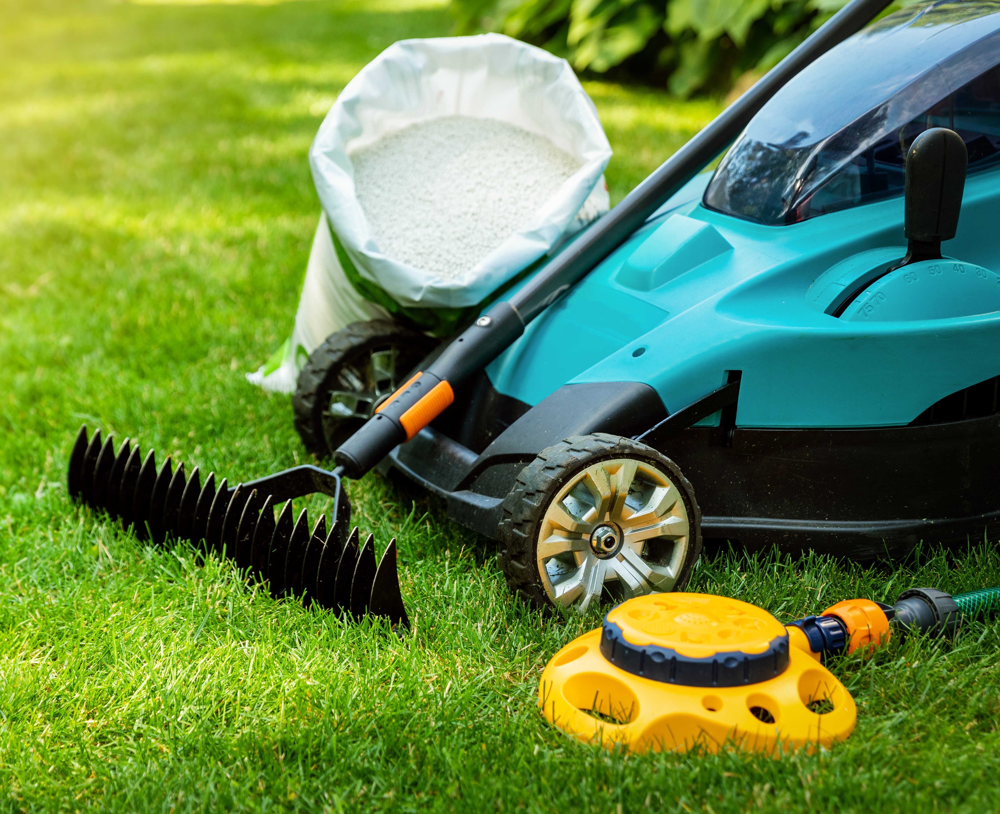 Lawn & Garden Tools