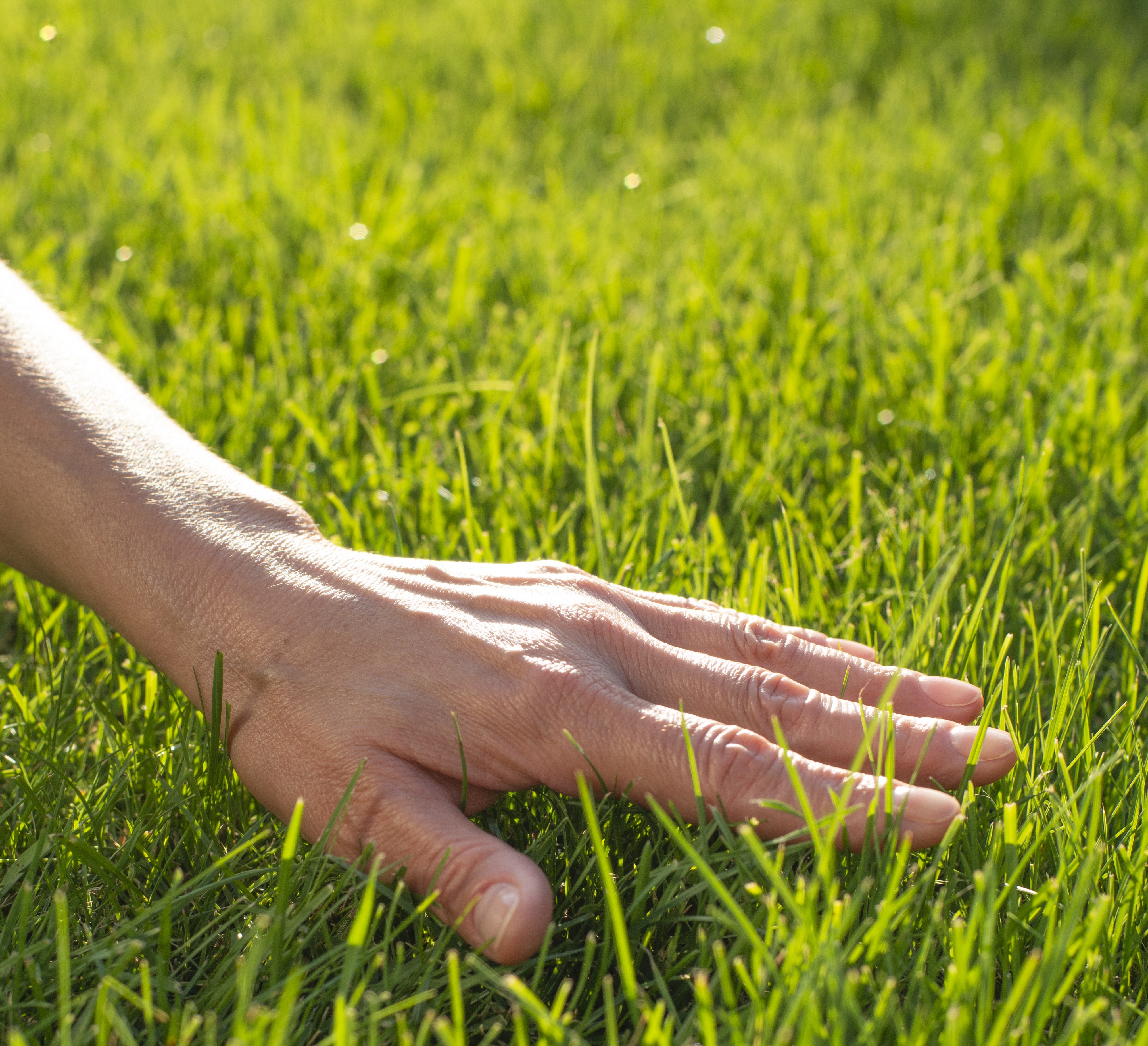Lawn Care