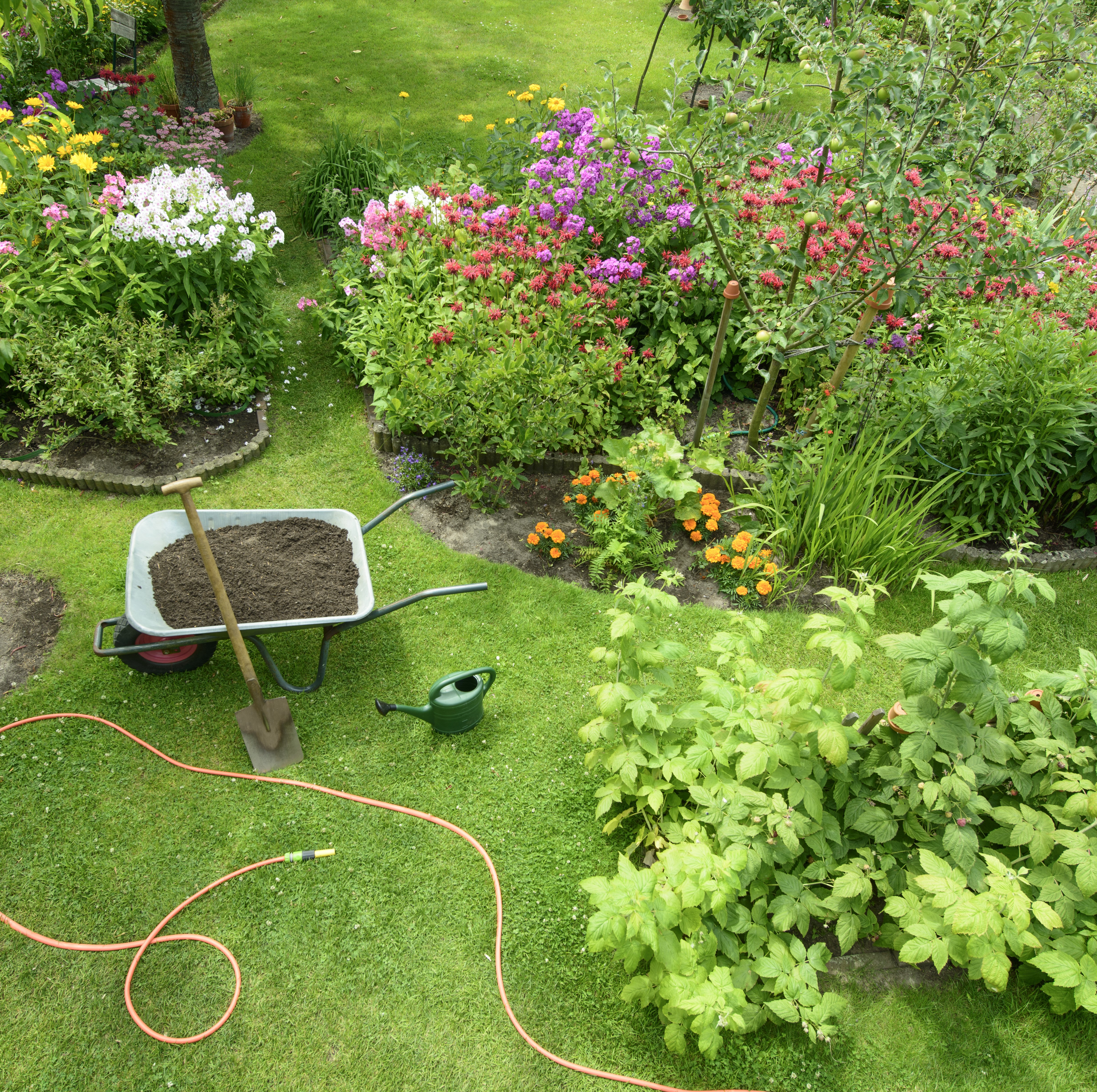 Lawn Fertilizers