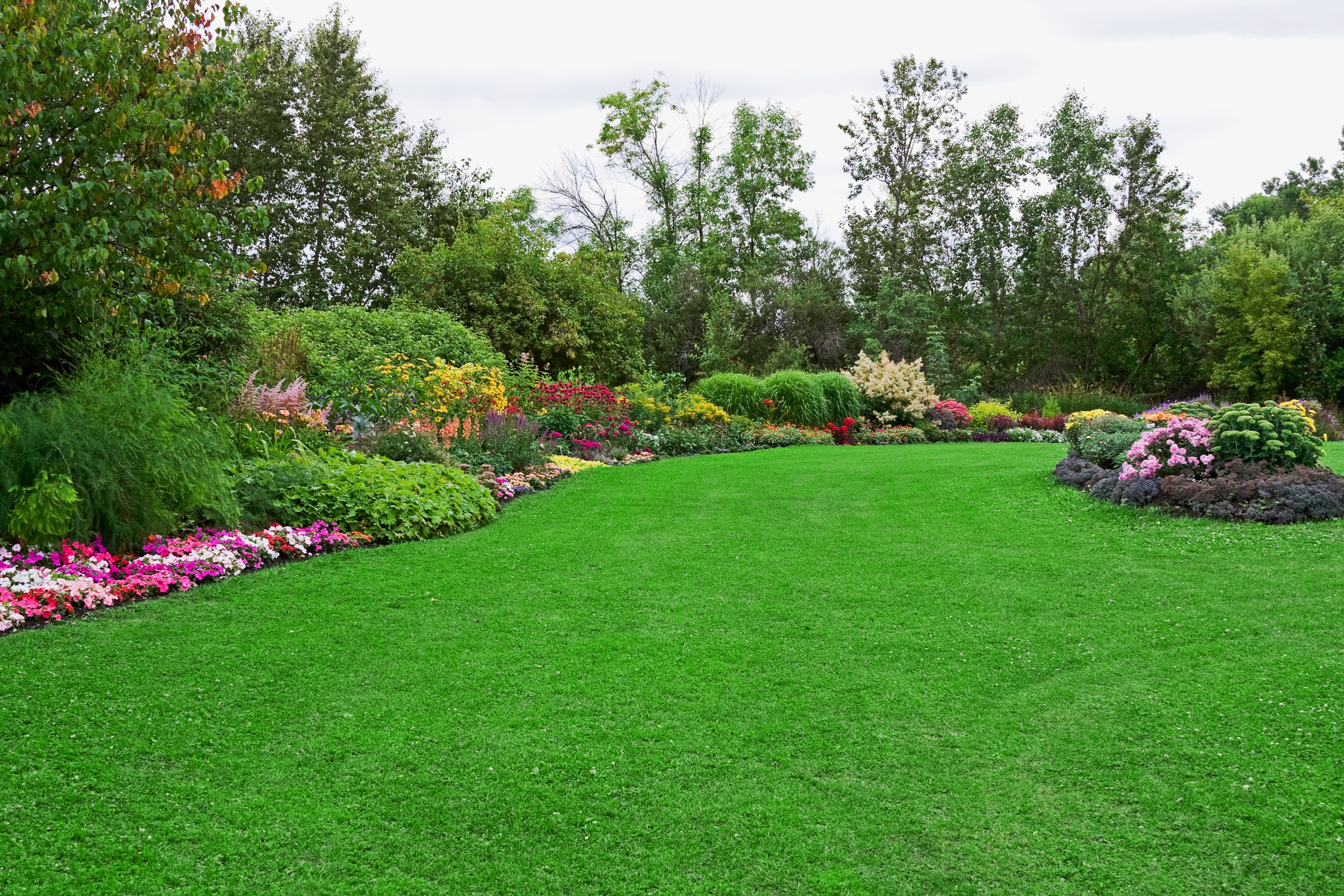Lawn & Garden